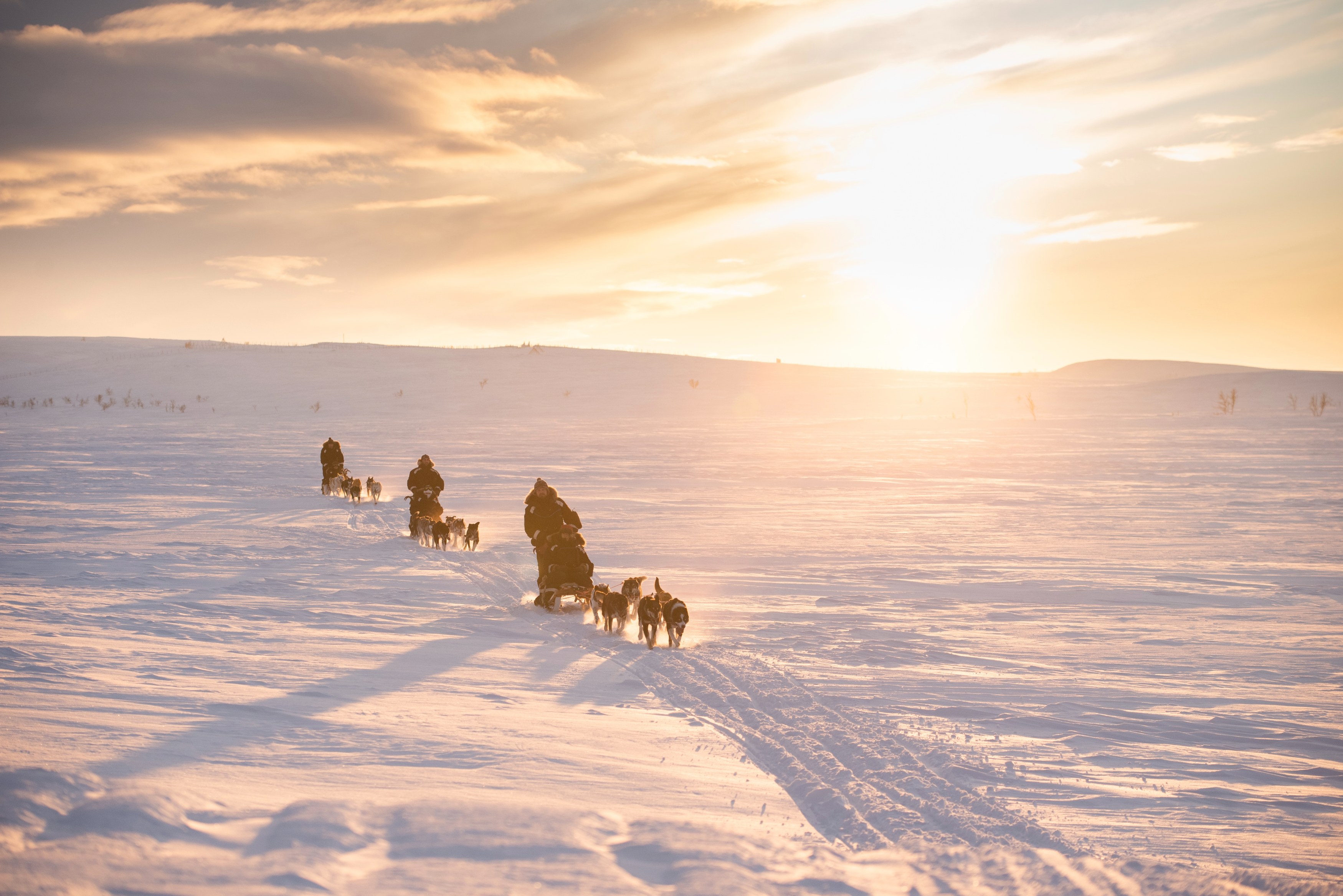 NO - accommodatie - Holmen Husky Lodge - Husky tour.jpg