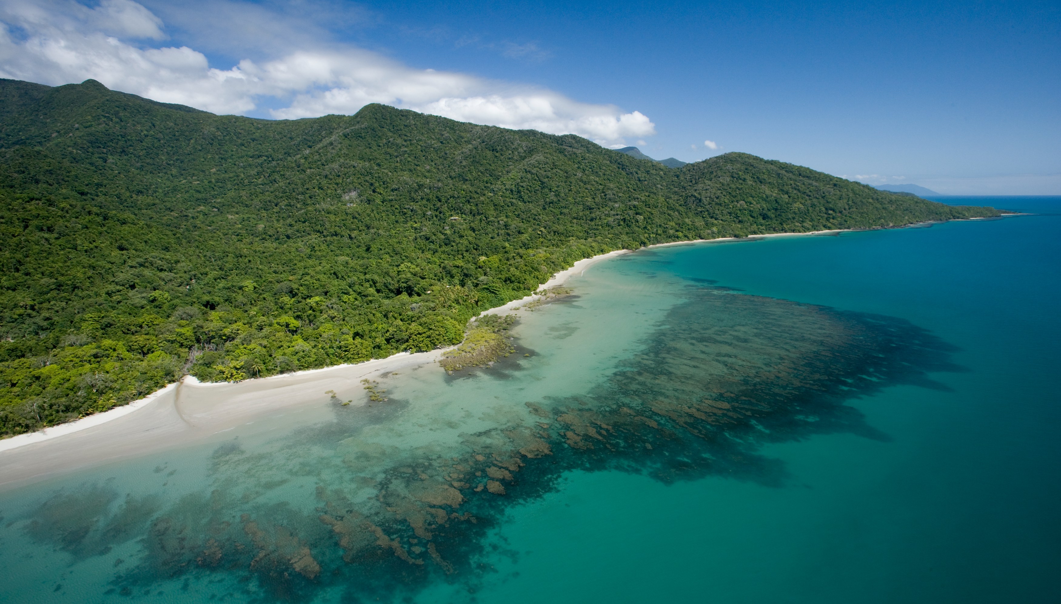 AU - Daintree National Park - Cape Tribulation.jpg
