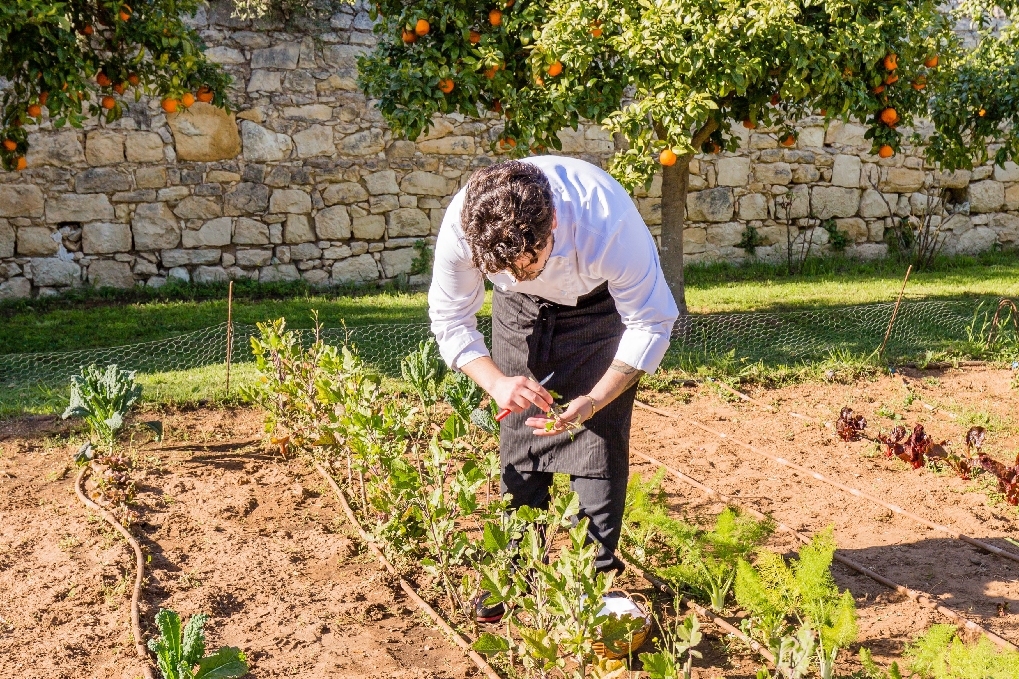 IT - Accommodatie - Baglio Occhipinti - Cooking Class - Agriculture (3).jpg
