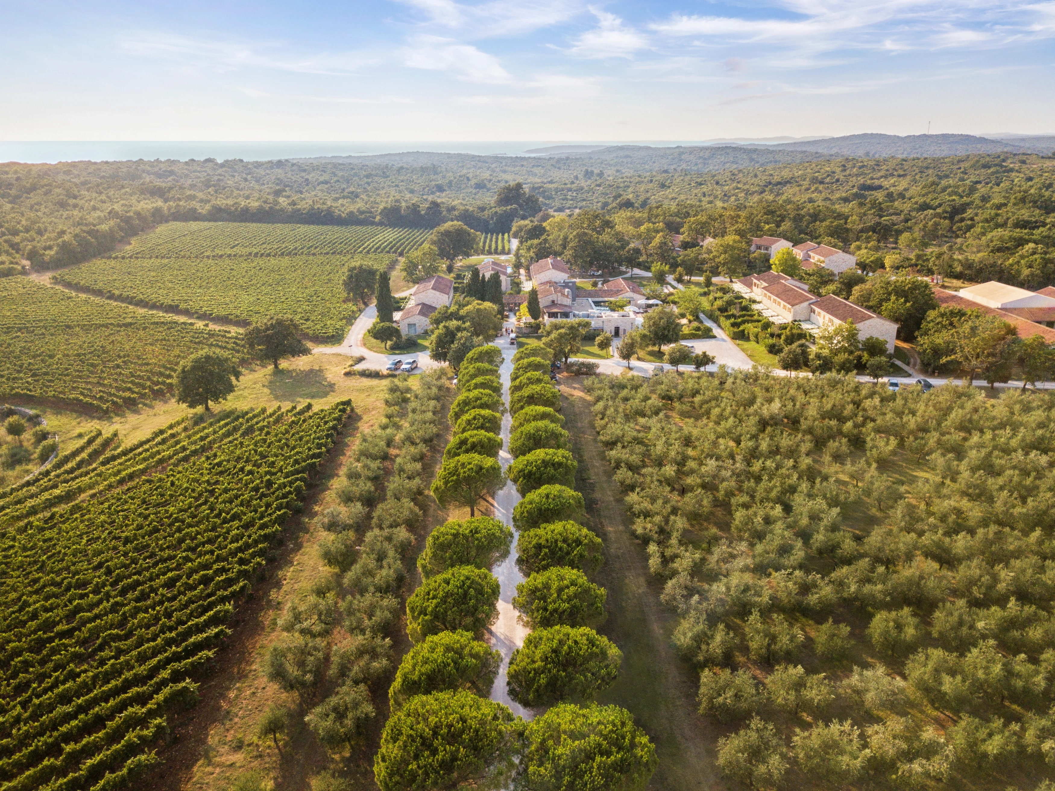 HR - Meneghetti Wine Hotel - Entrance Skyview.webp