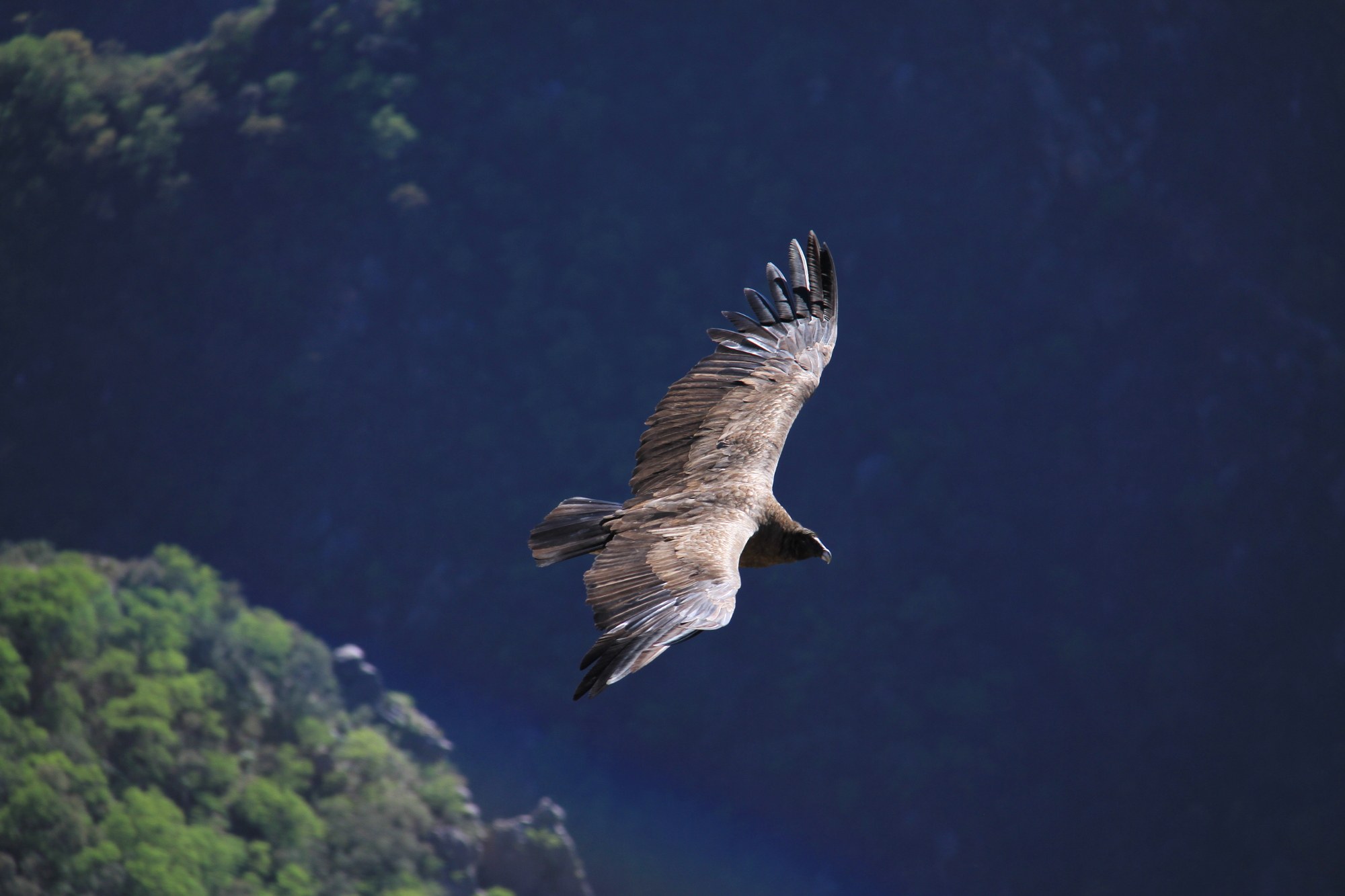 AR-Excursie-horsebac-riding-quebrada-de-los-condors-beleven.jpg