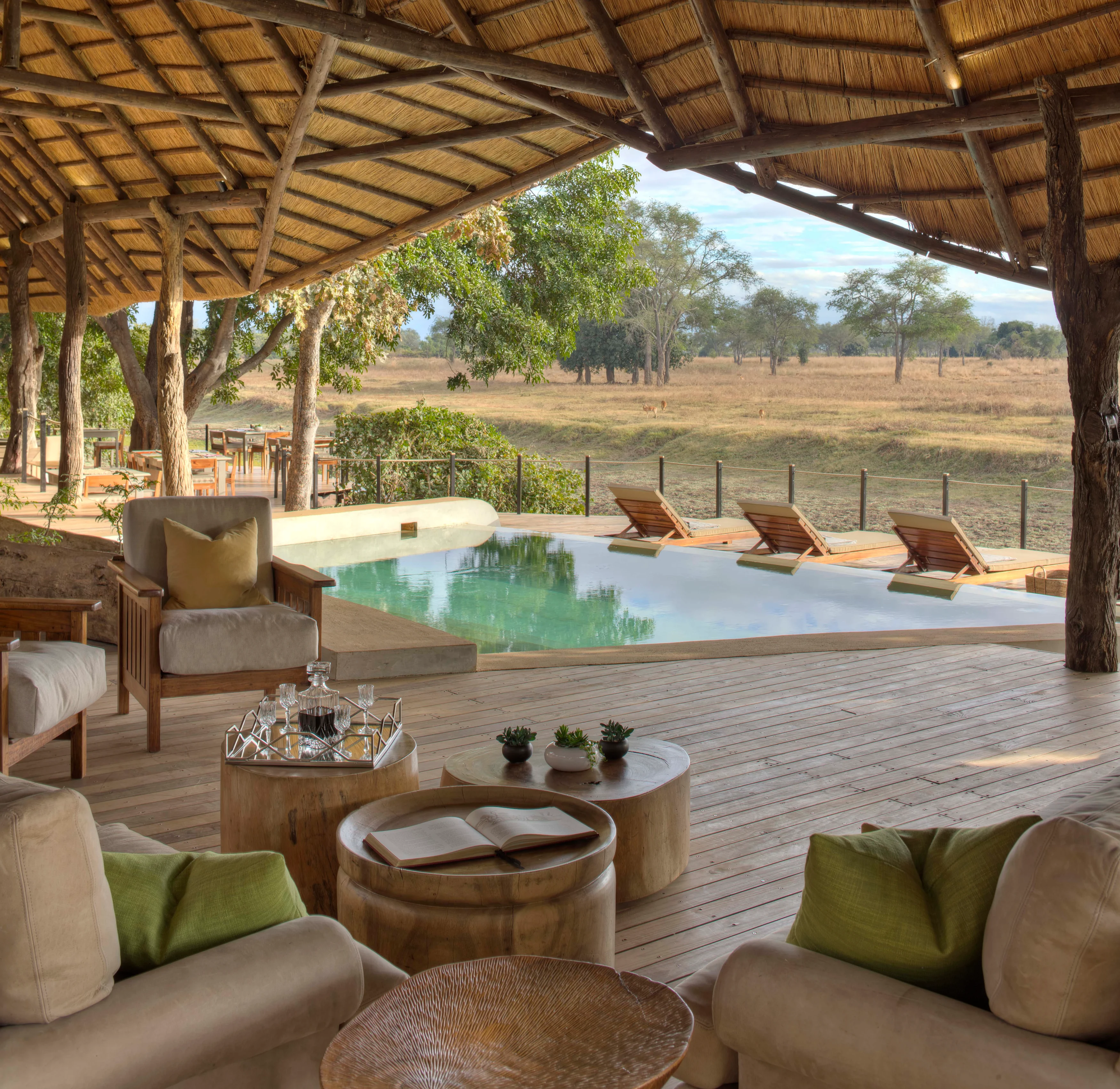 ZM-Lion Camp-lounge with pool.webp