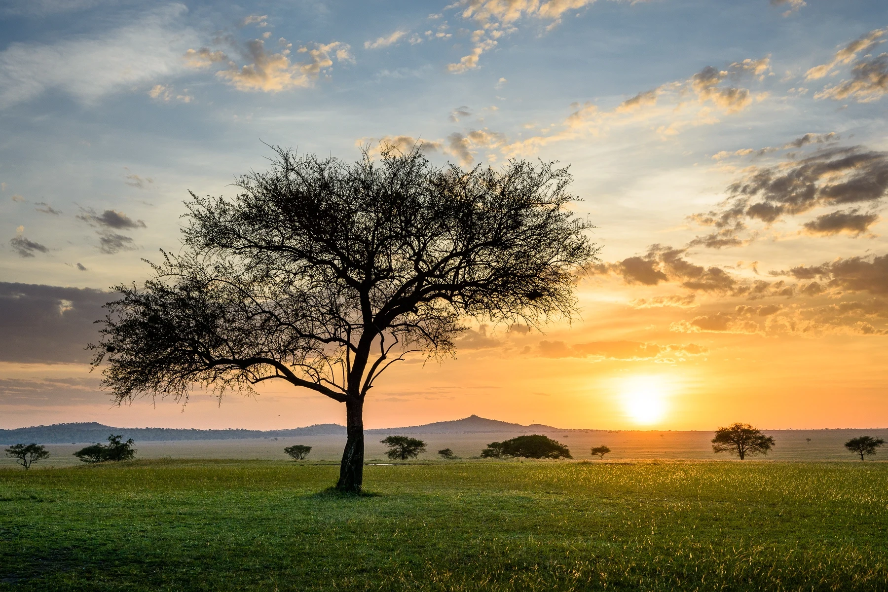 TZ-Singita Sabora-landscape.webp