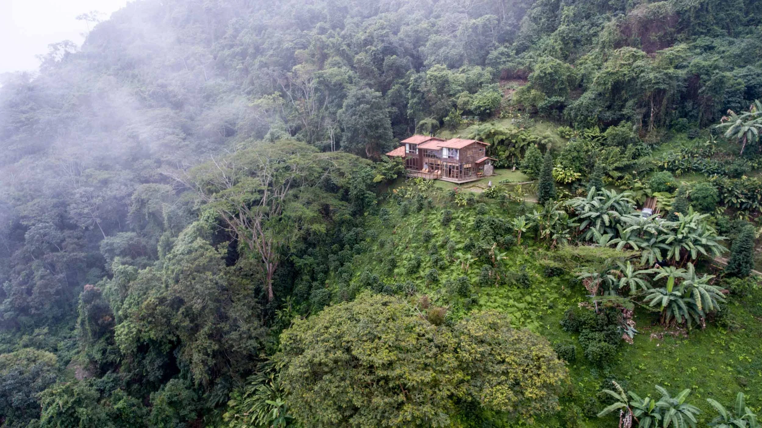 CO-accommodatie-Casa Oropendola-header.webp