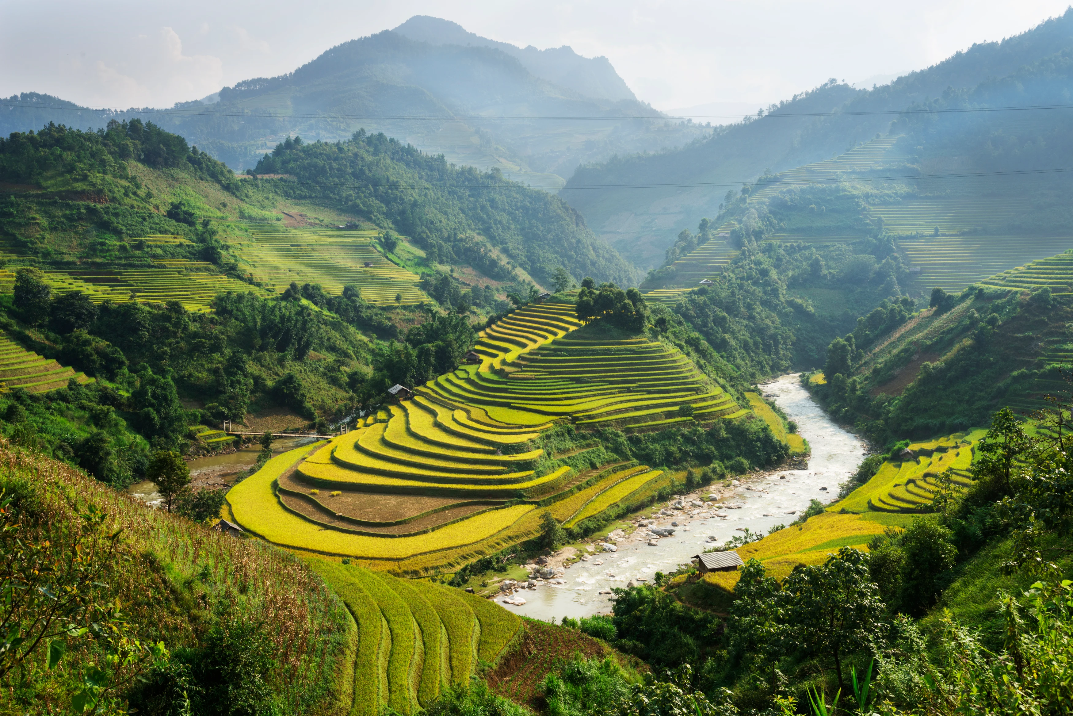 VN - Algemeen - Ha Giang Ricefields.webp