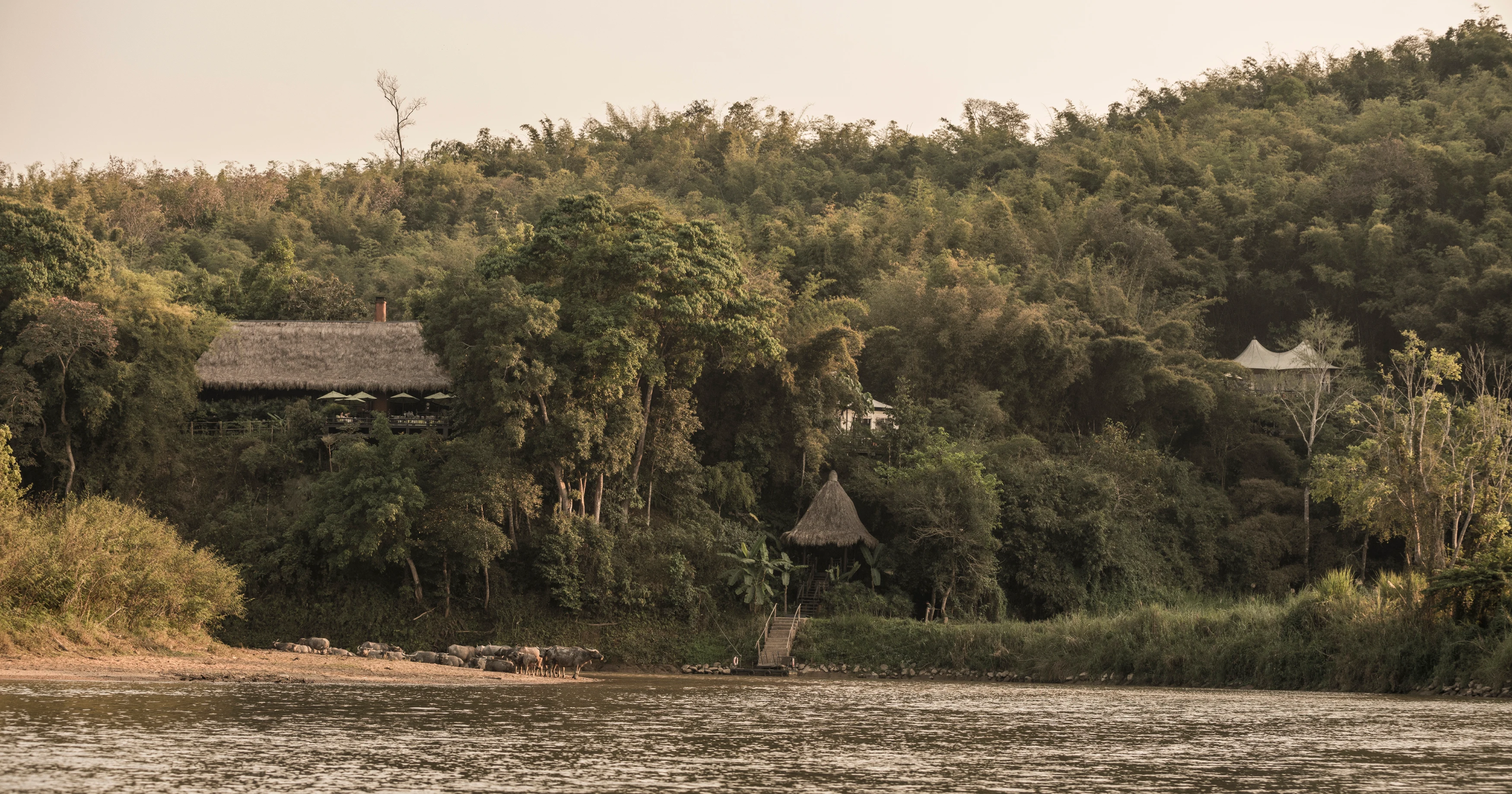 TH - Four Seasons Golden Triangle - River.webp