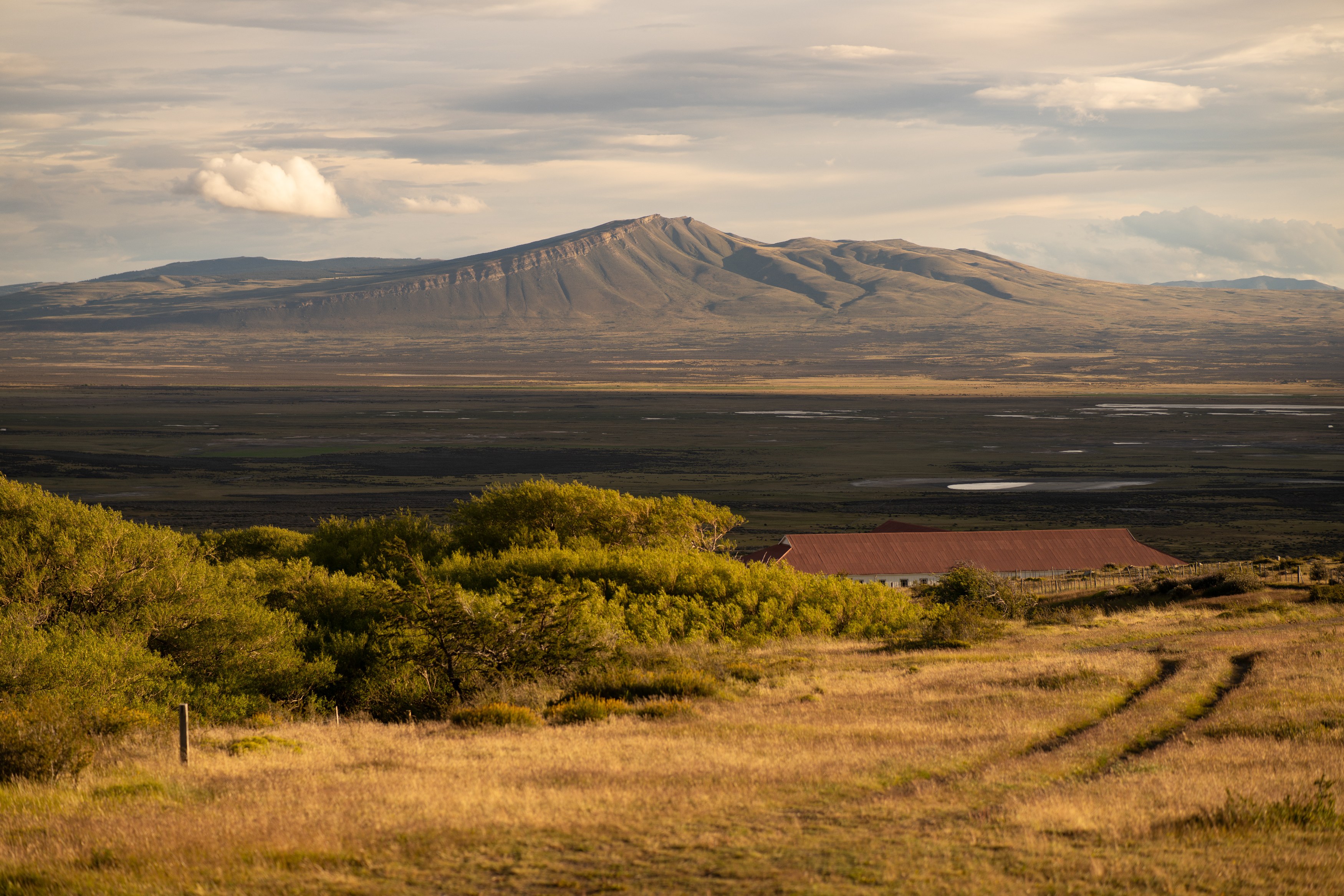 CL-Estancia-Cerro-Guido-Nature.jpg