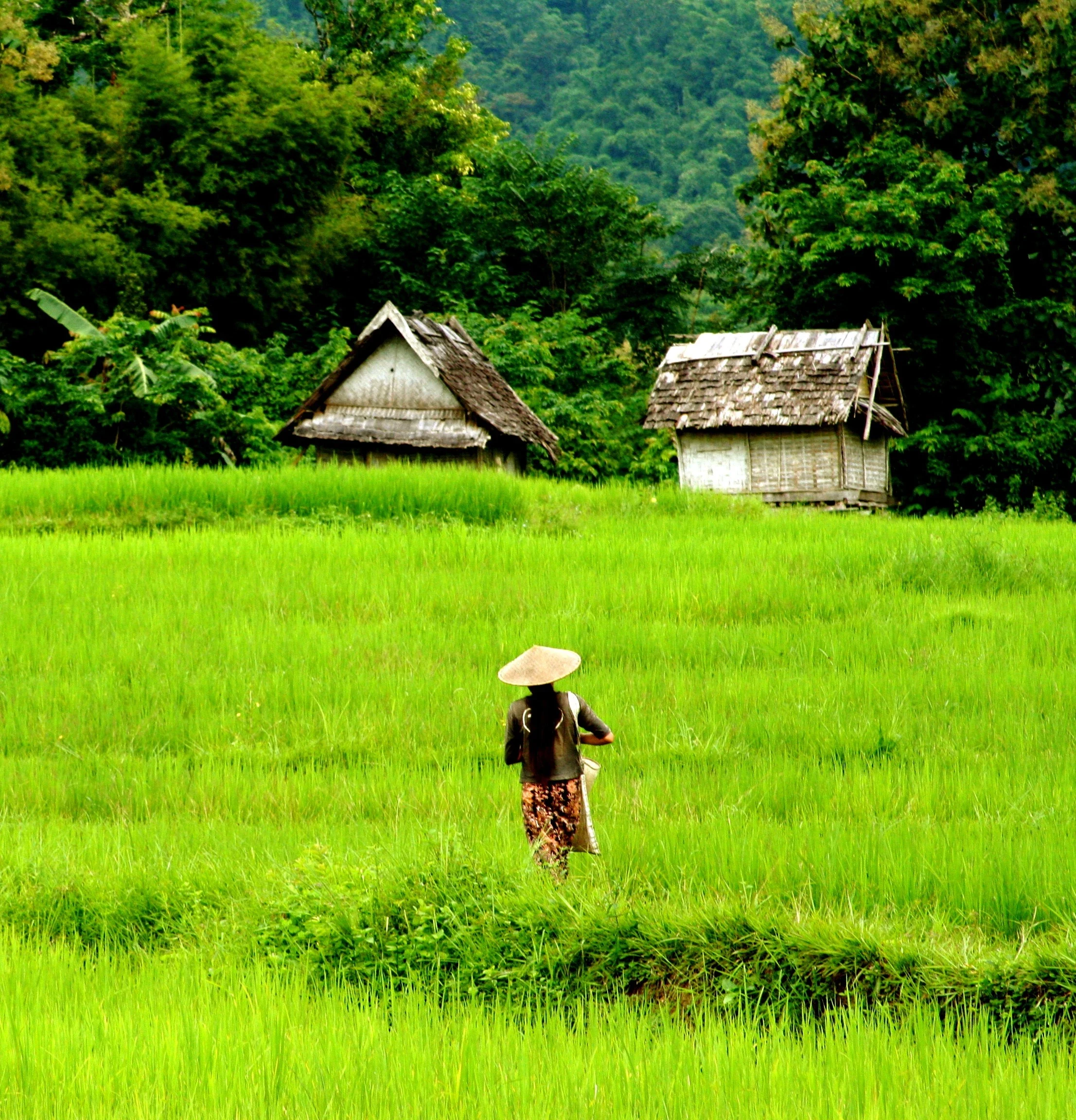 LA - Algemeen - Woman in field.webp
