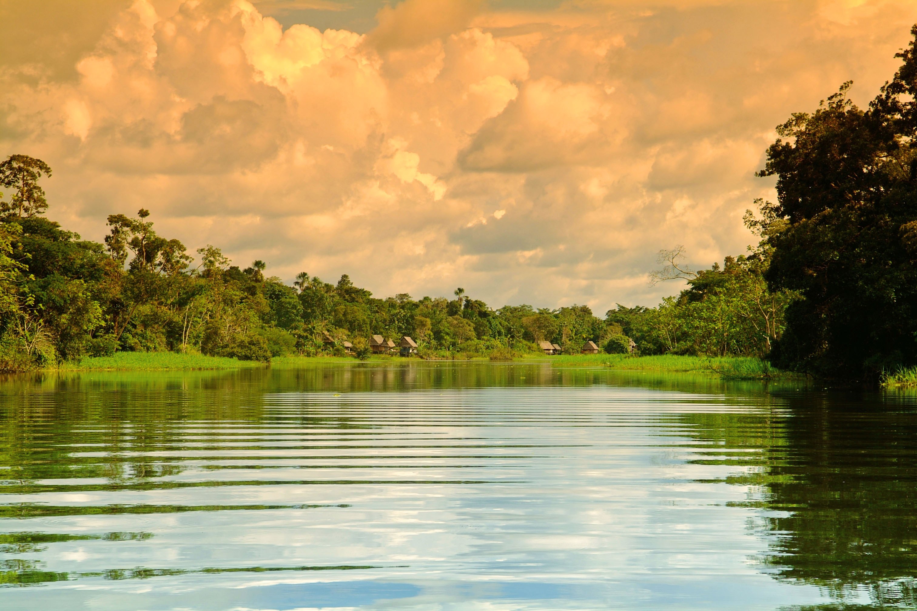 PE_-_Aria_Amazon_-_Dawn_at_the_Amazon.jpg