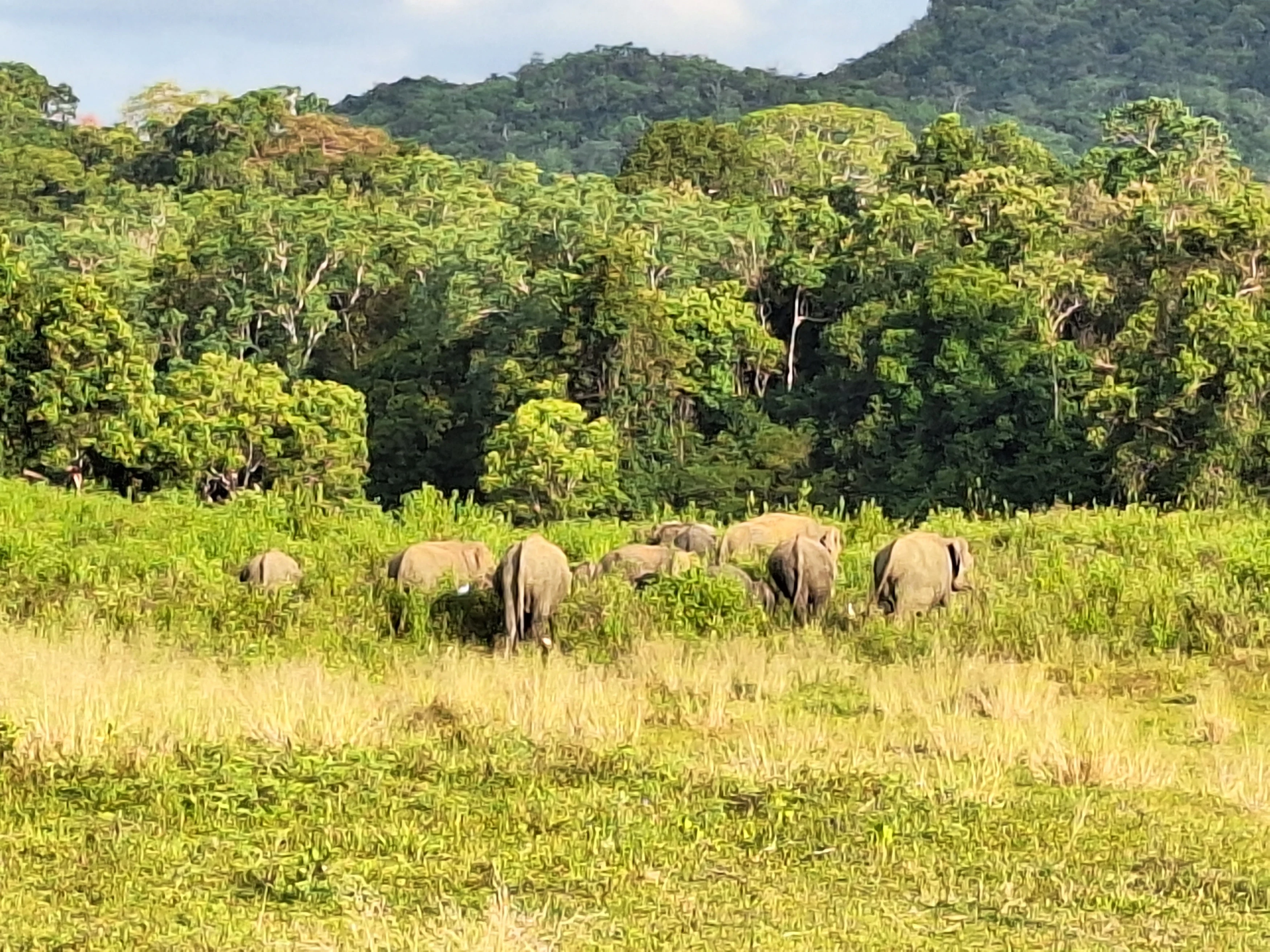 LK - Vakantie Sri Lanka - Ingrid - Gal Oya.webp