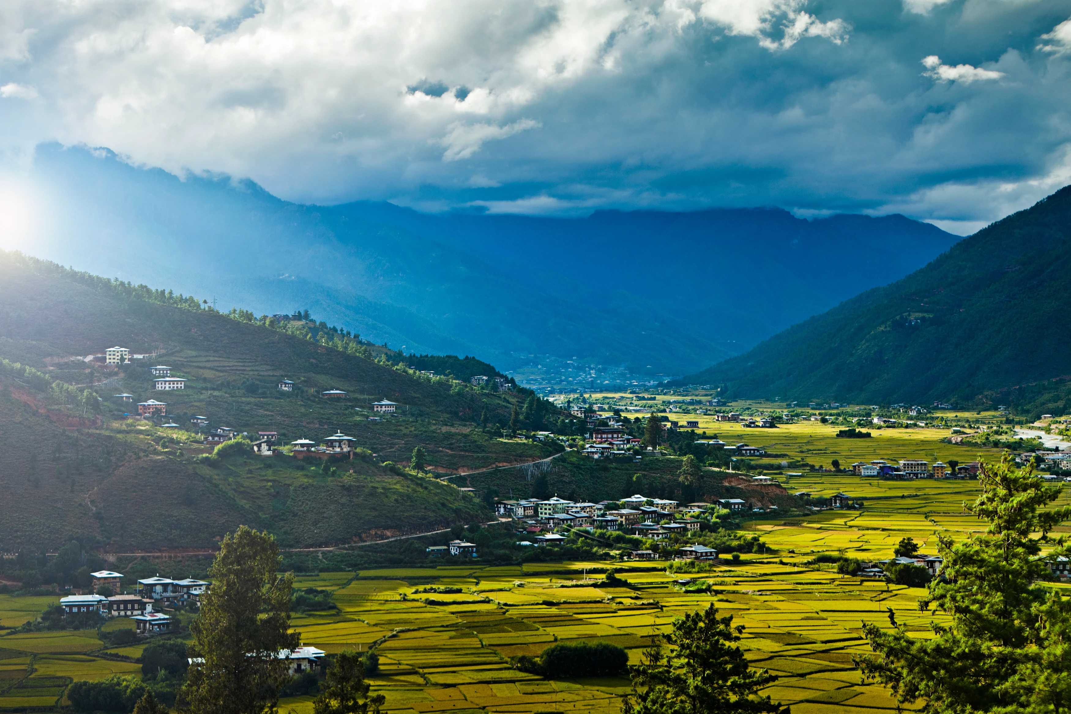 BT - Uma Paro - Paro Valley overview.webp