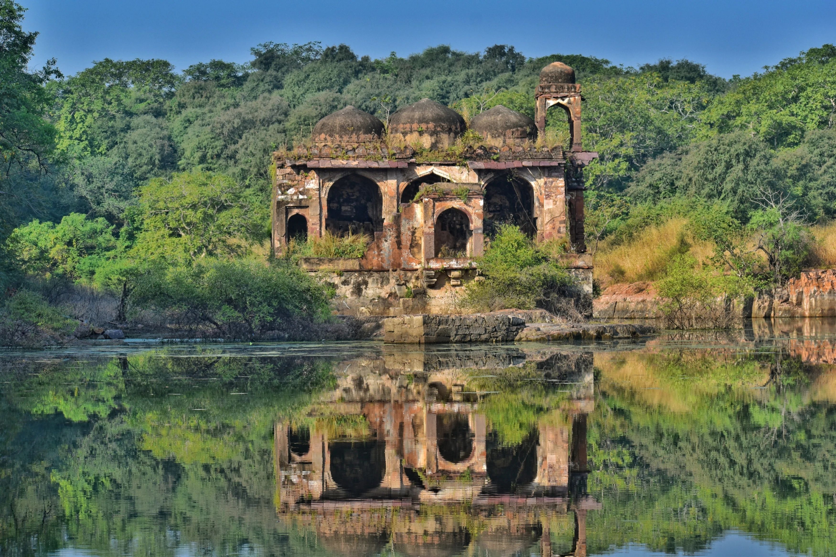 IN-Ranthambore National Park- Shutterstock (3).webp