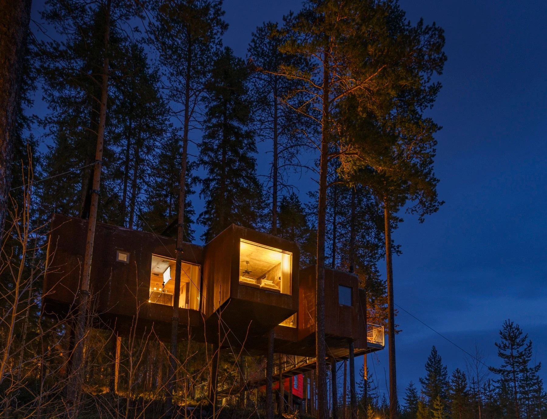 SE - Accommodatie - TREEHOTEL - Dragon Fly 5 .webp