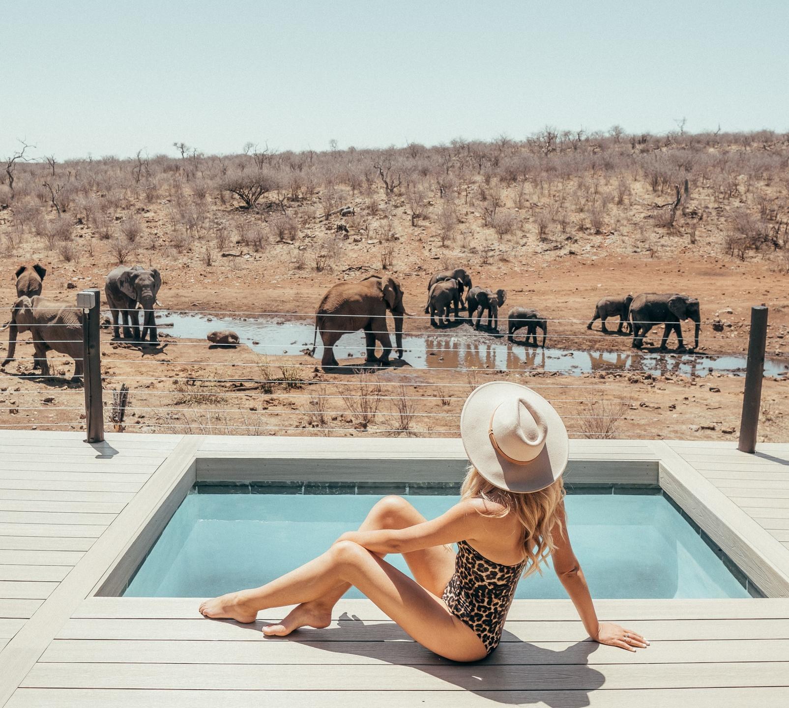 ZA-The Royal Madikwe-Lenyalo Suite pool.jpg