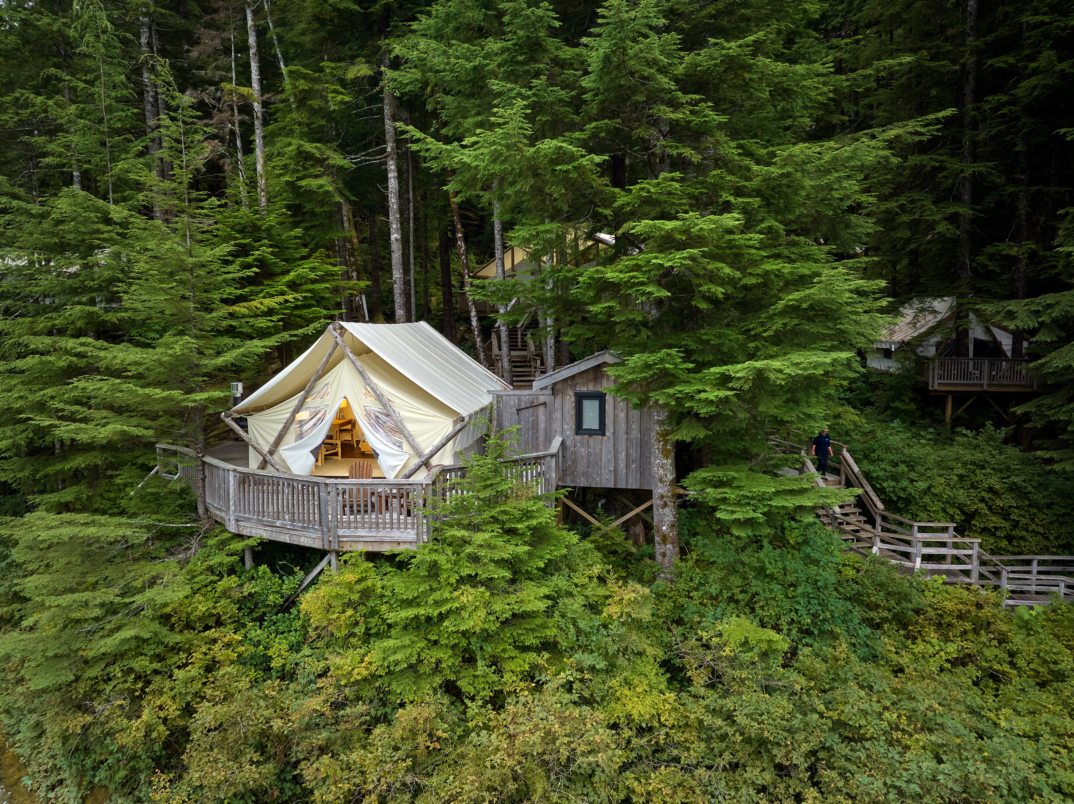CA-Clayoqout Wilderness Lodge-rainforest-deluxe-tent.jpg