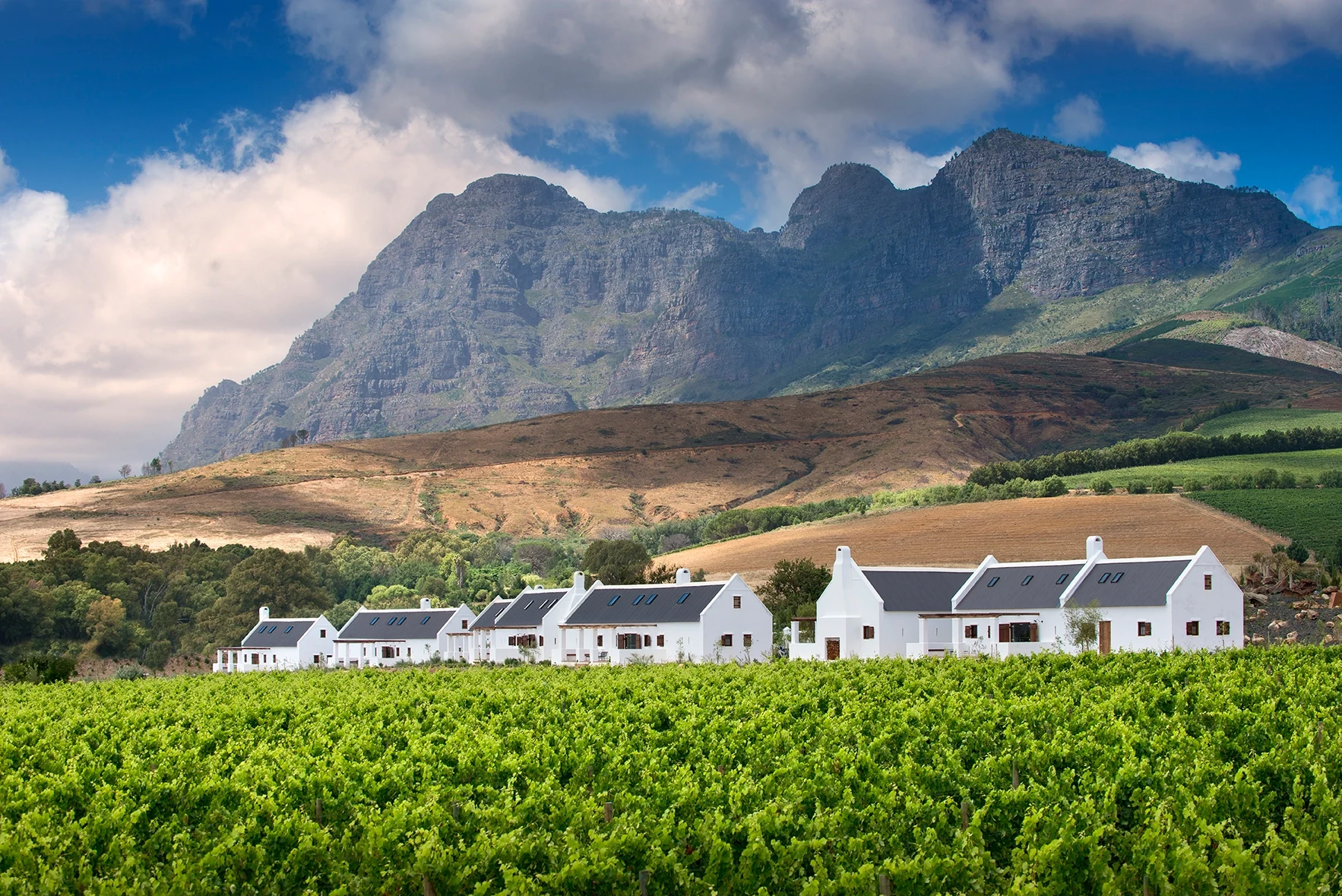 ZA - Accommodatie - Babylonstoren - Fynbos Cottages with the Simonsberg.webp