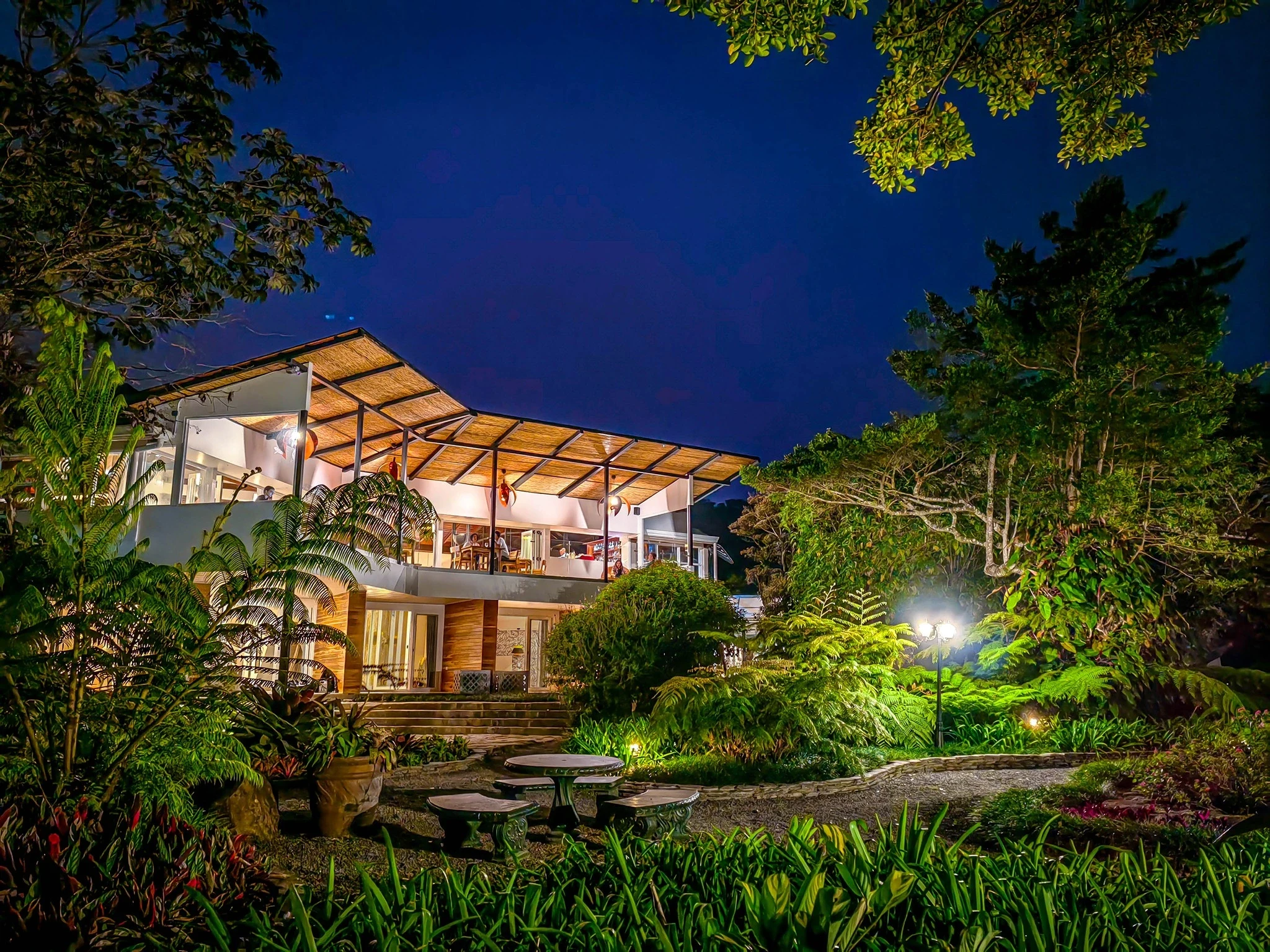 CR-Monteverde Lodge-By Night.webp