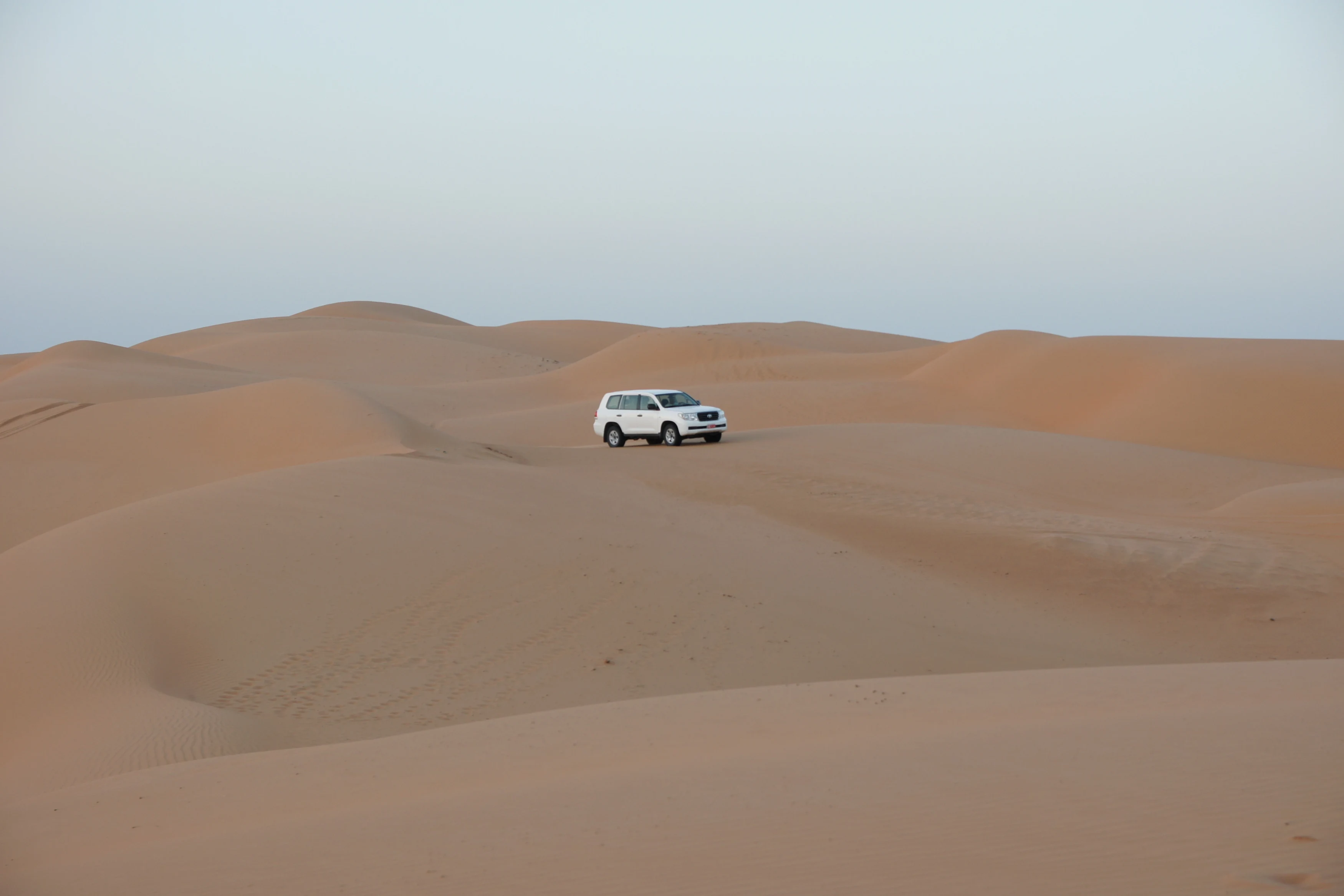 OM - Desert Nights Camp - Car.webp