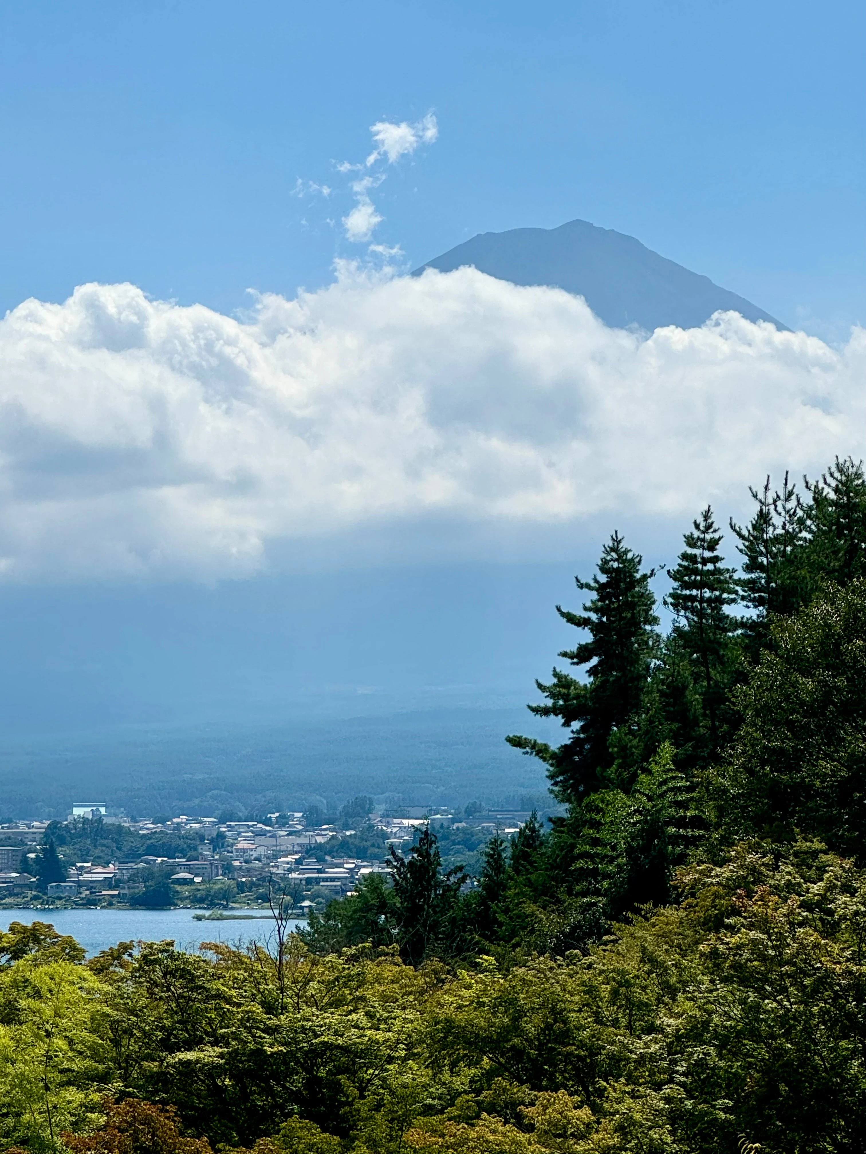 JP-_Studiereis_Ronda_en_Barbara_-_Per_huurauto_naar_Ize_Hakone_and_Lake_Kawaguchiko_Kaiseki_diner_1.webp