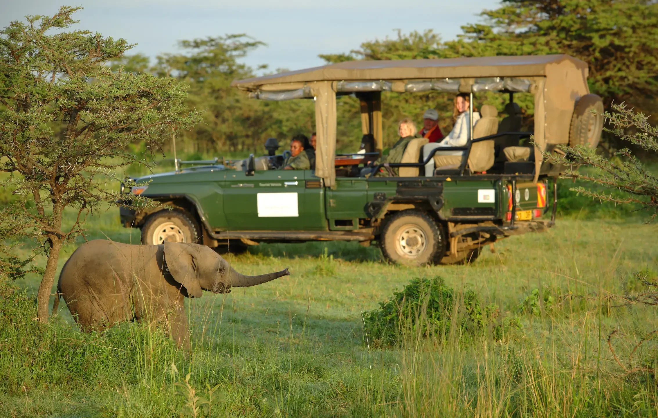 KE-Ol Seki Hemingways Mara-Game drive.webp
