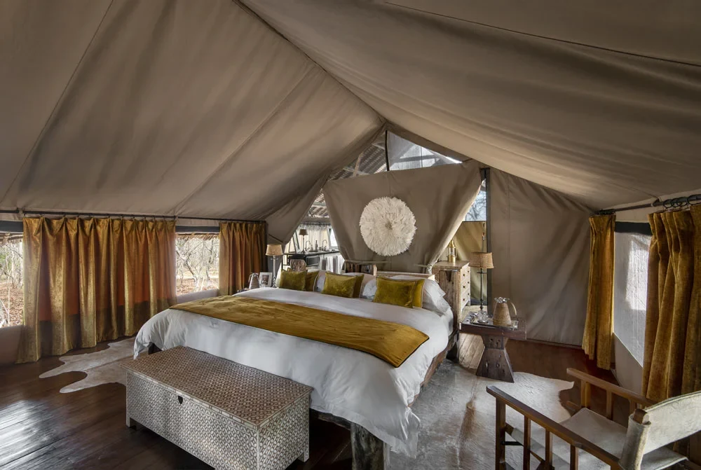 TZ-Jongomero-tent interior.webp