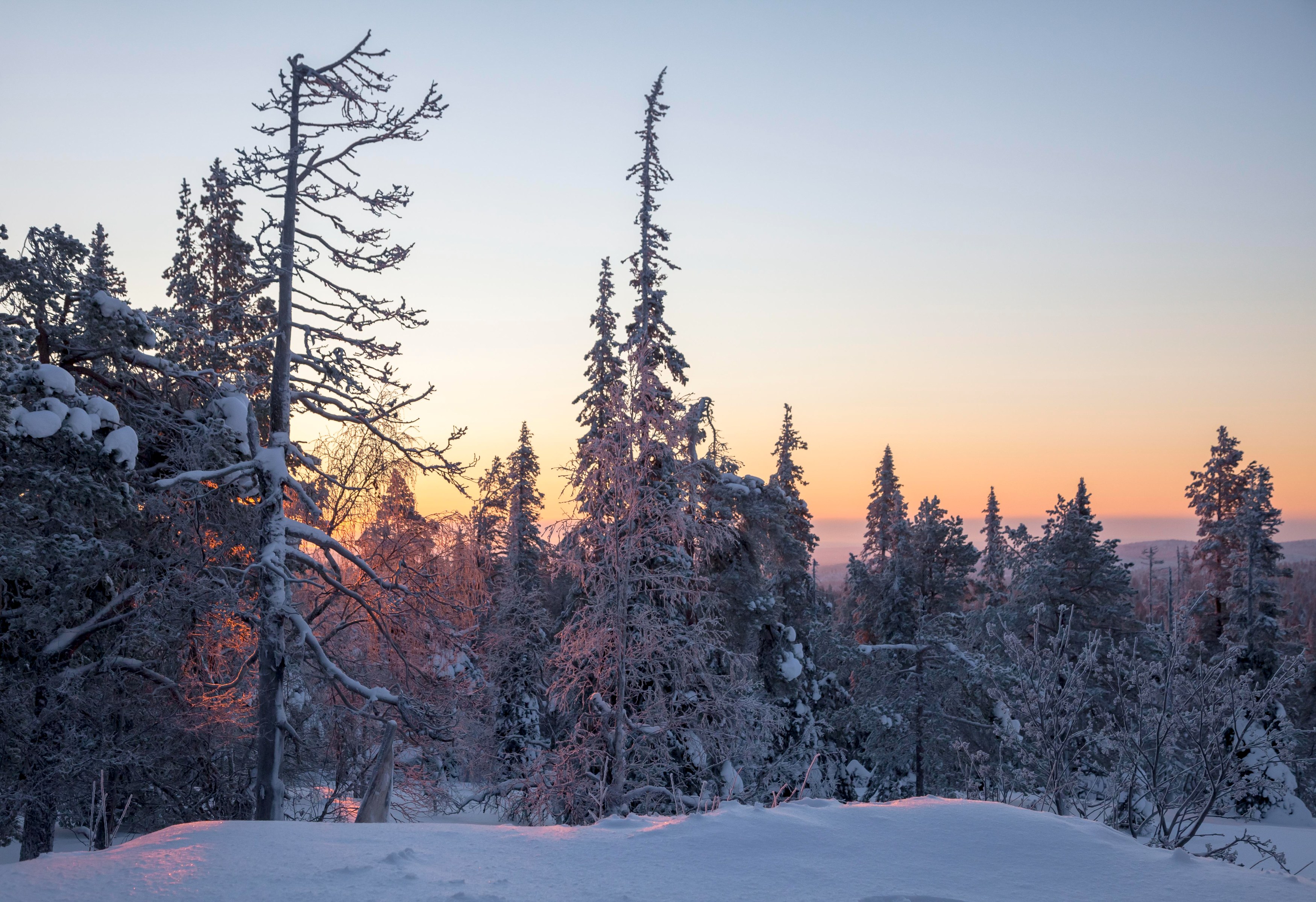 ltapsah-sunrise-6877326.jpg