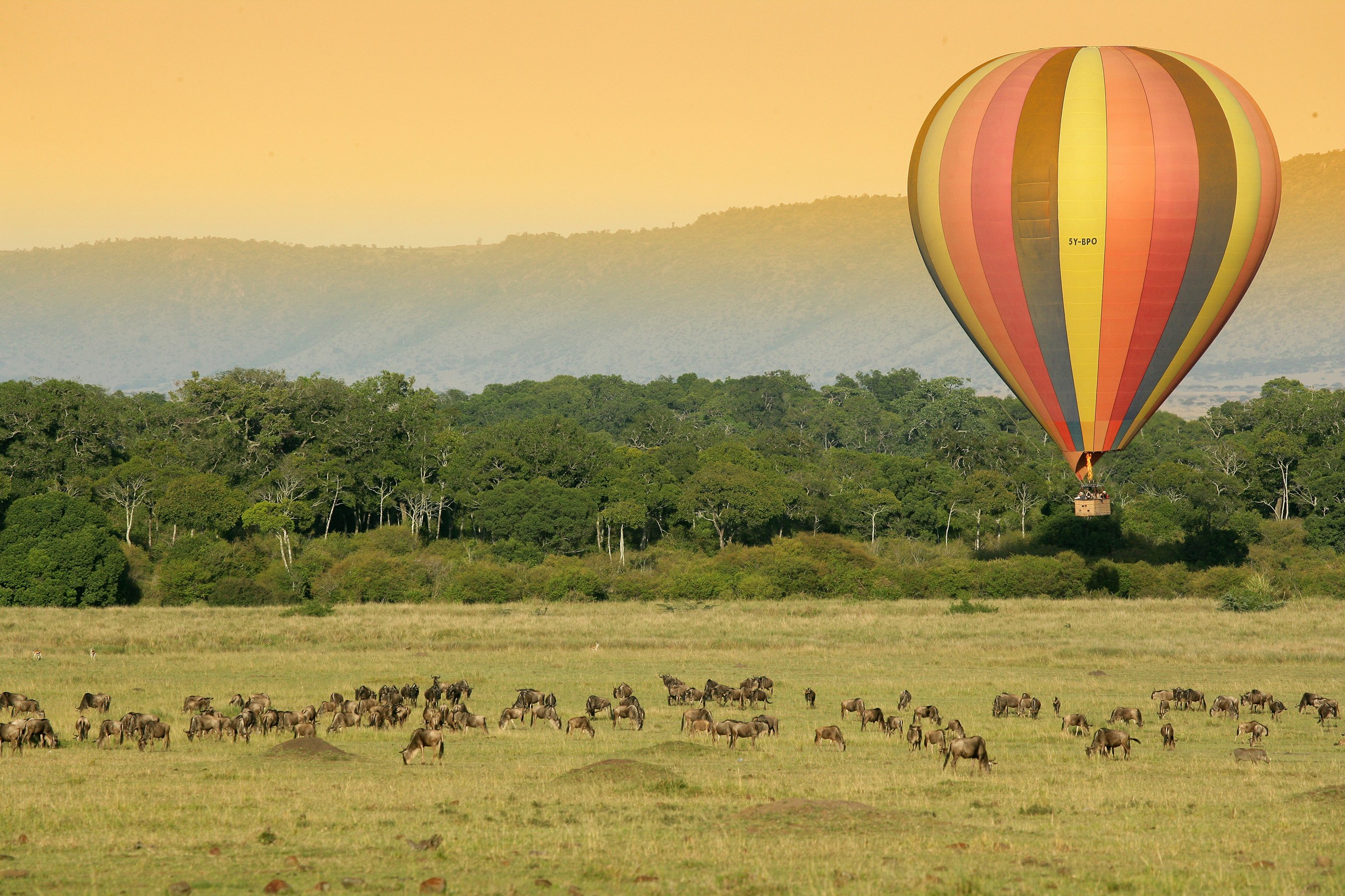 KE - MARA019.jpg