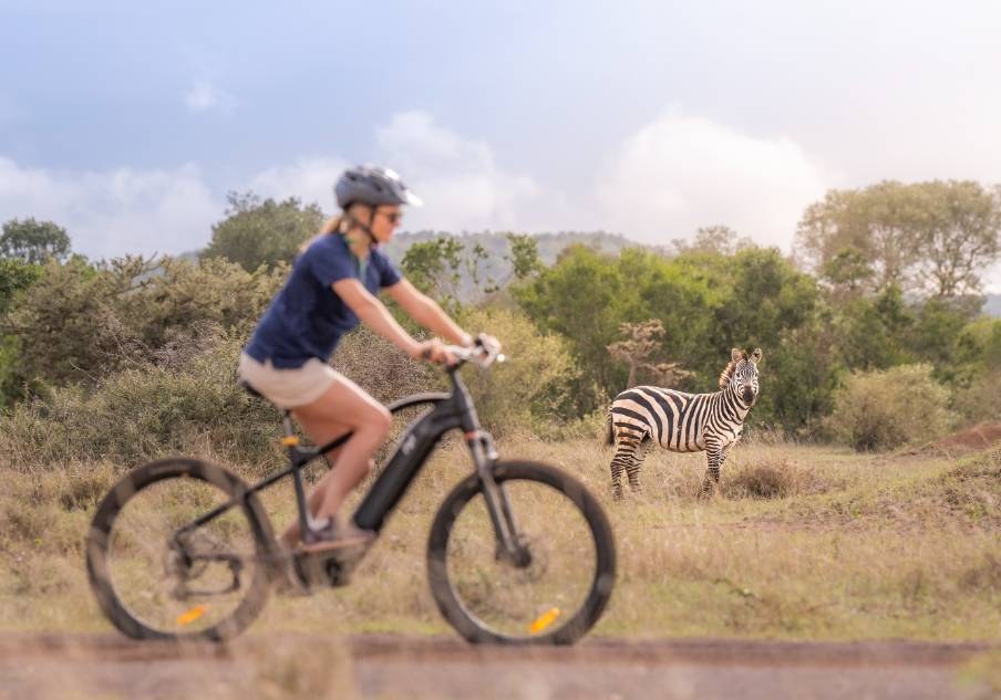 KE-Mugie House-mountainbike safari-zebra.jpg
