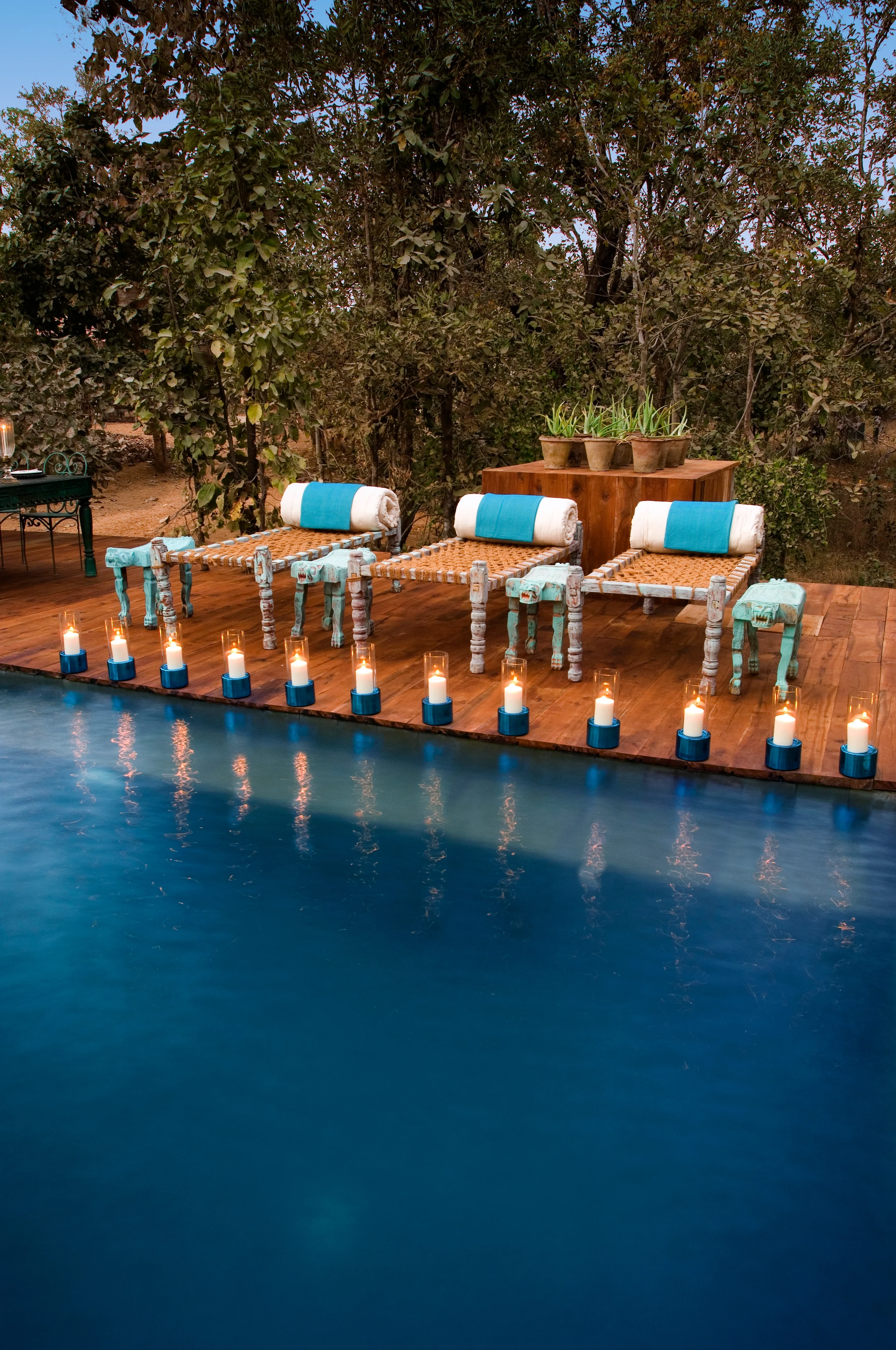 IN - Baghvan Jungle Lodge- Pool.webp