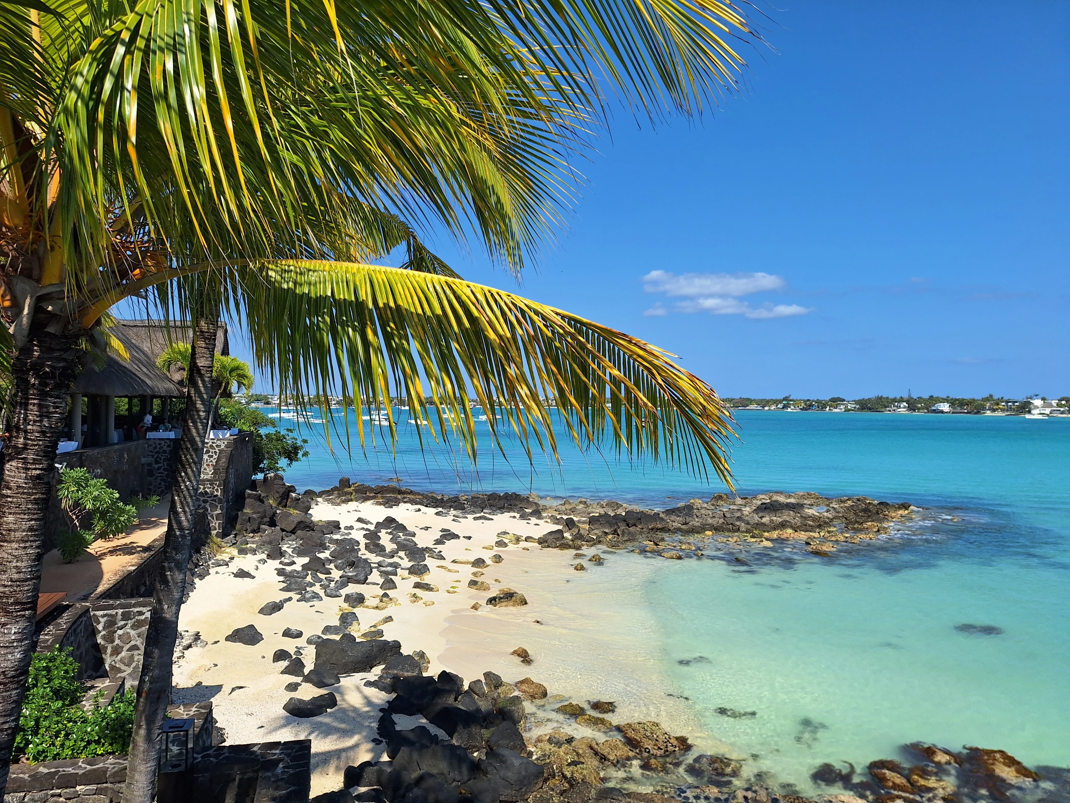 MU-accommodatie-Royal-Palm-beachview1.webp