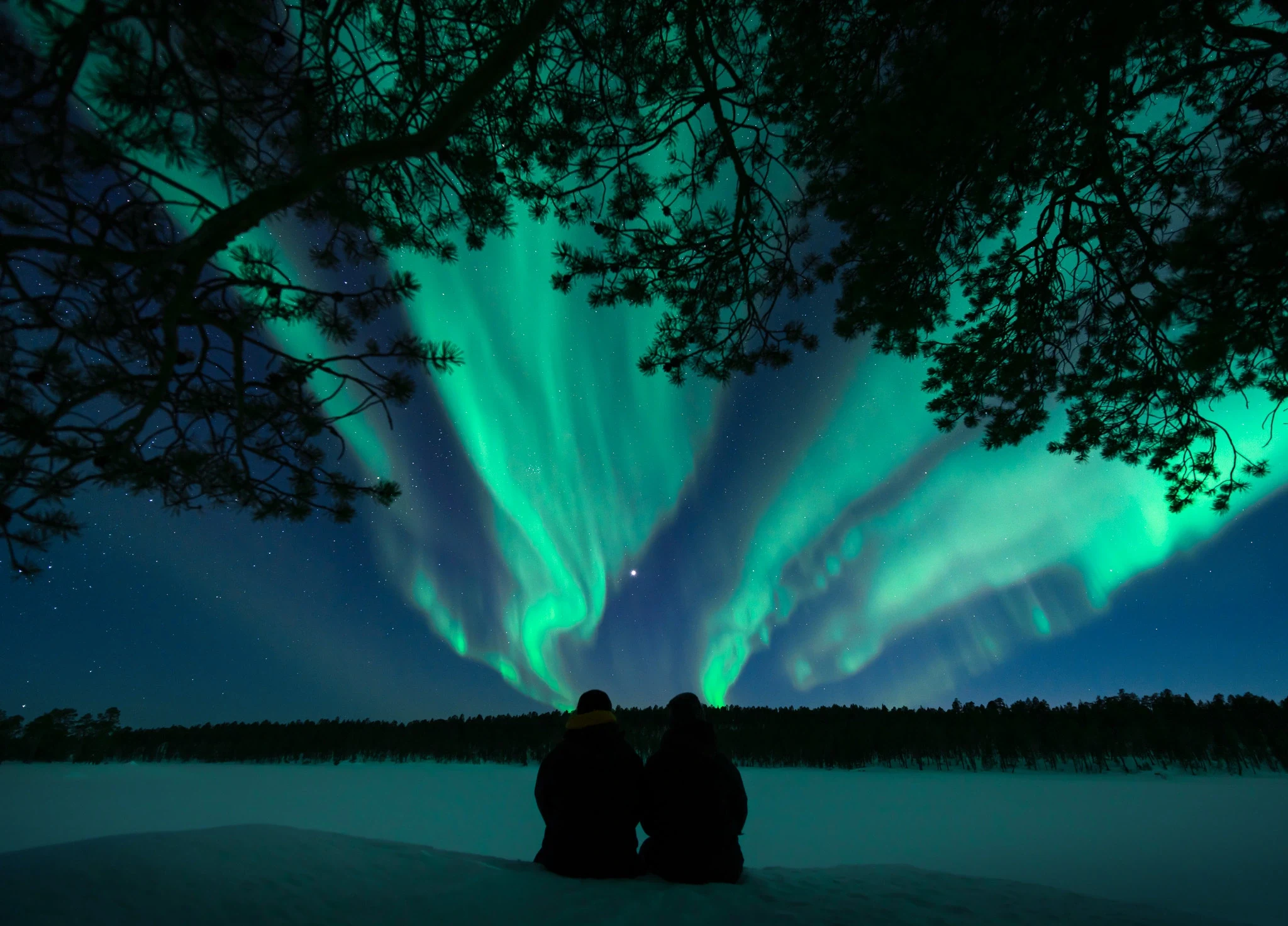 FI - Javri Lodge - Northern lights.webp