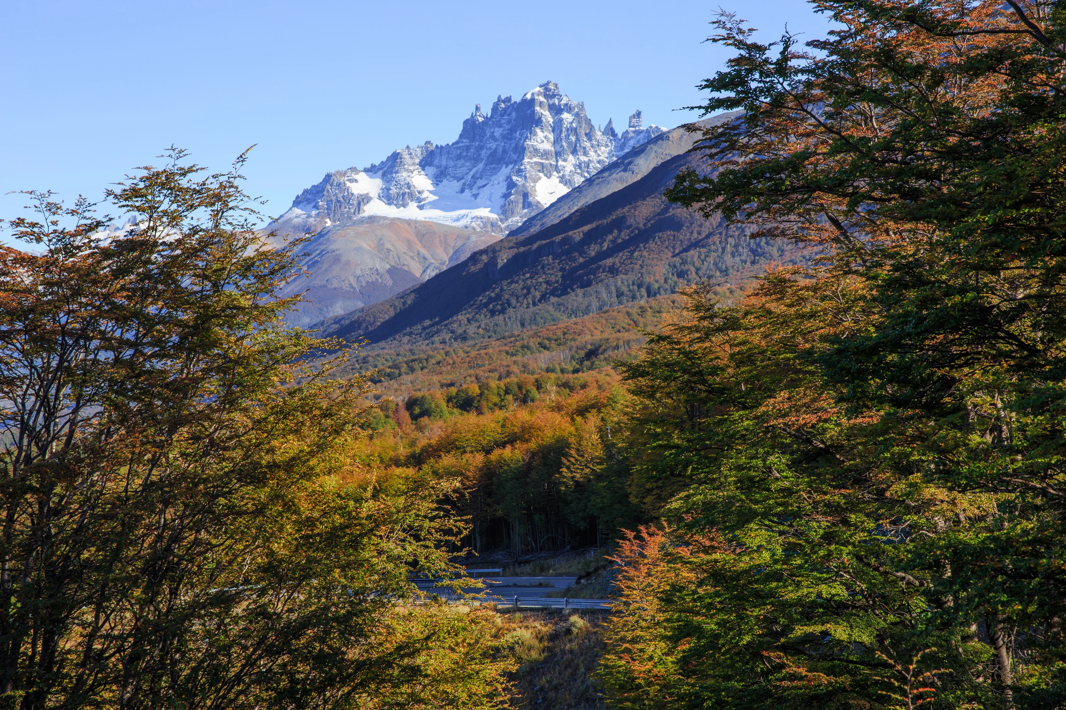 CL - Aysen - Parque Nacional Cerro Castillo.webp