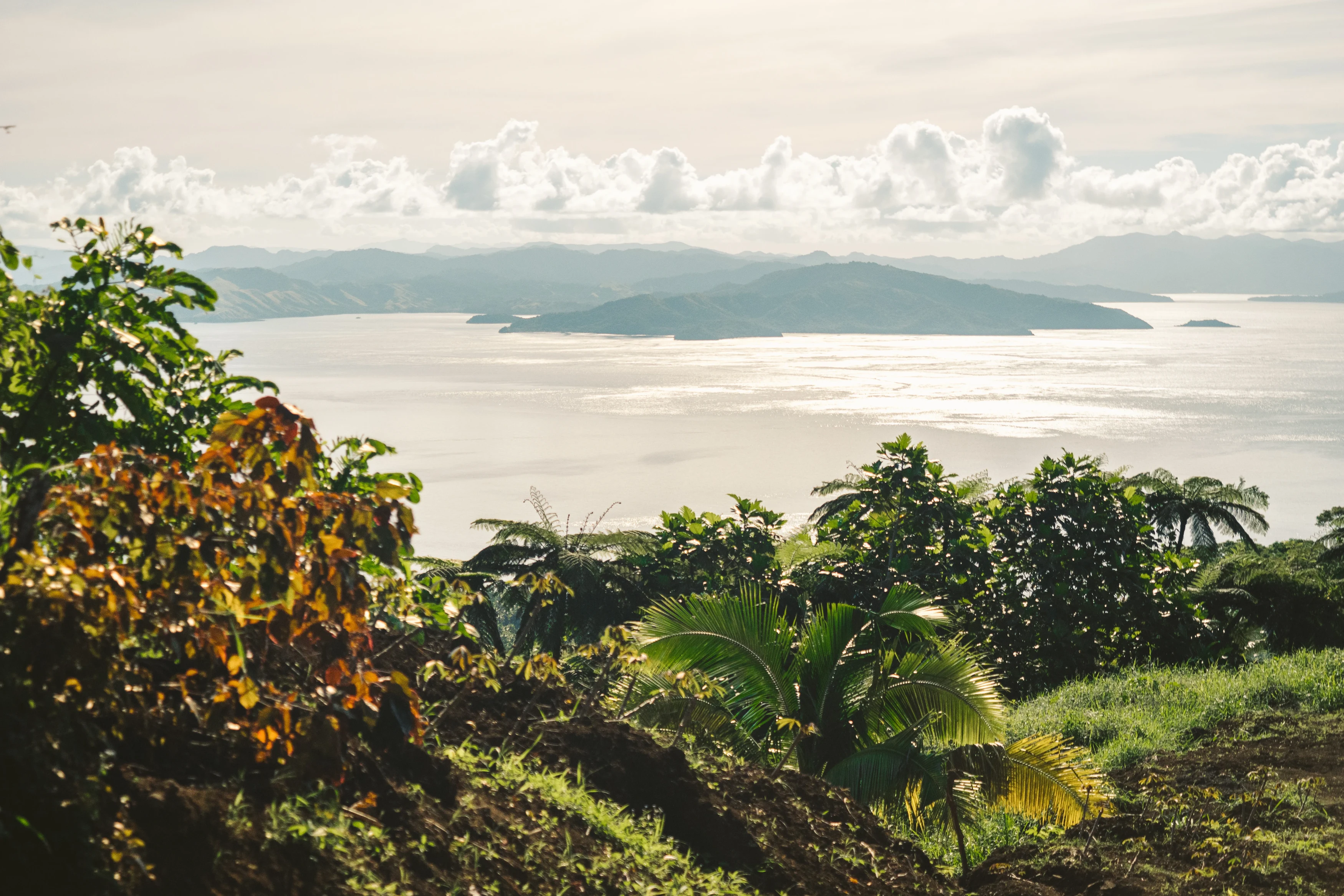 FJ-Algemeen beeld-view of the mountains.webp