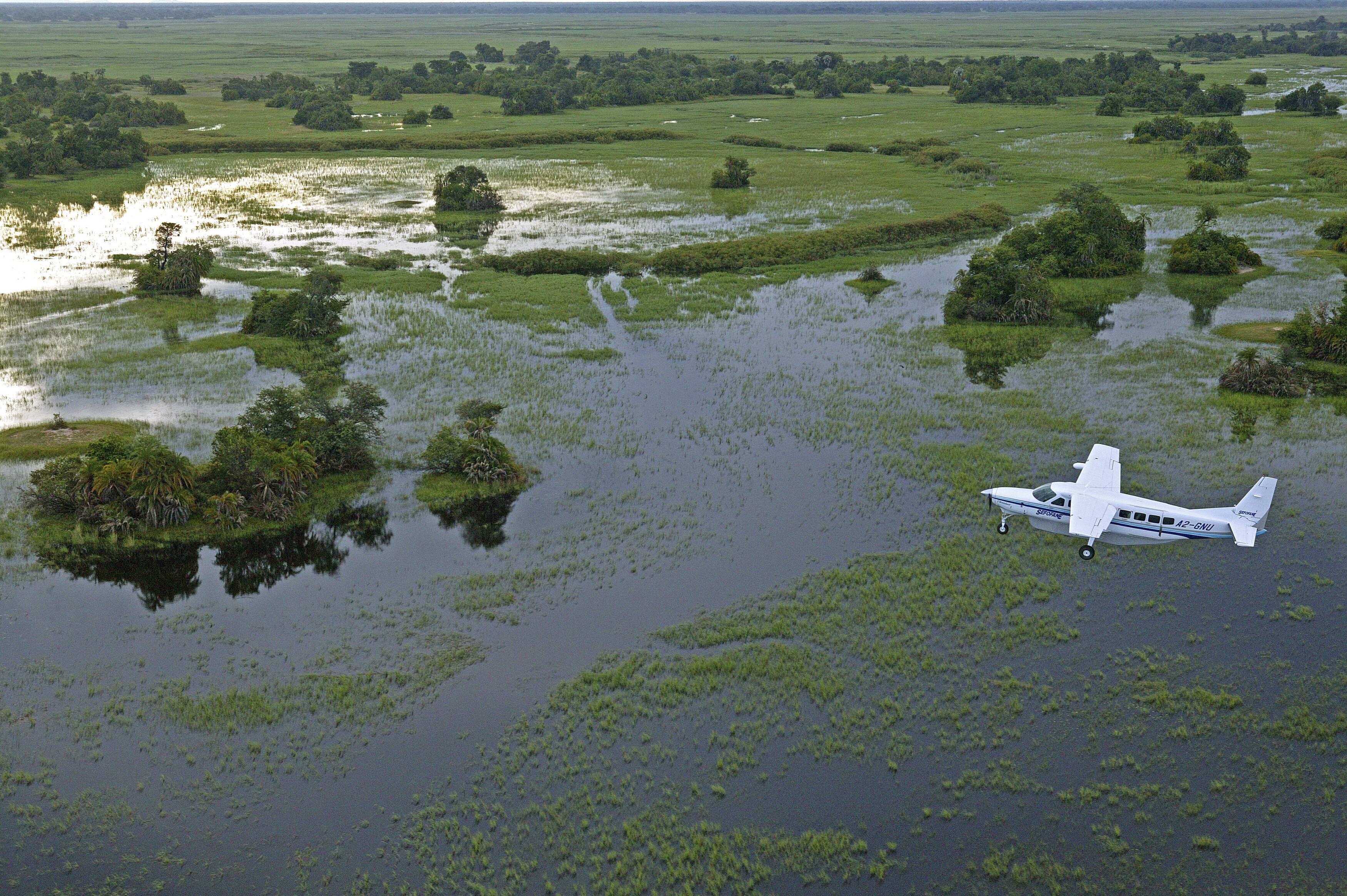 BW - Okavango.JPG