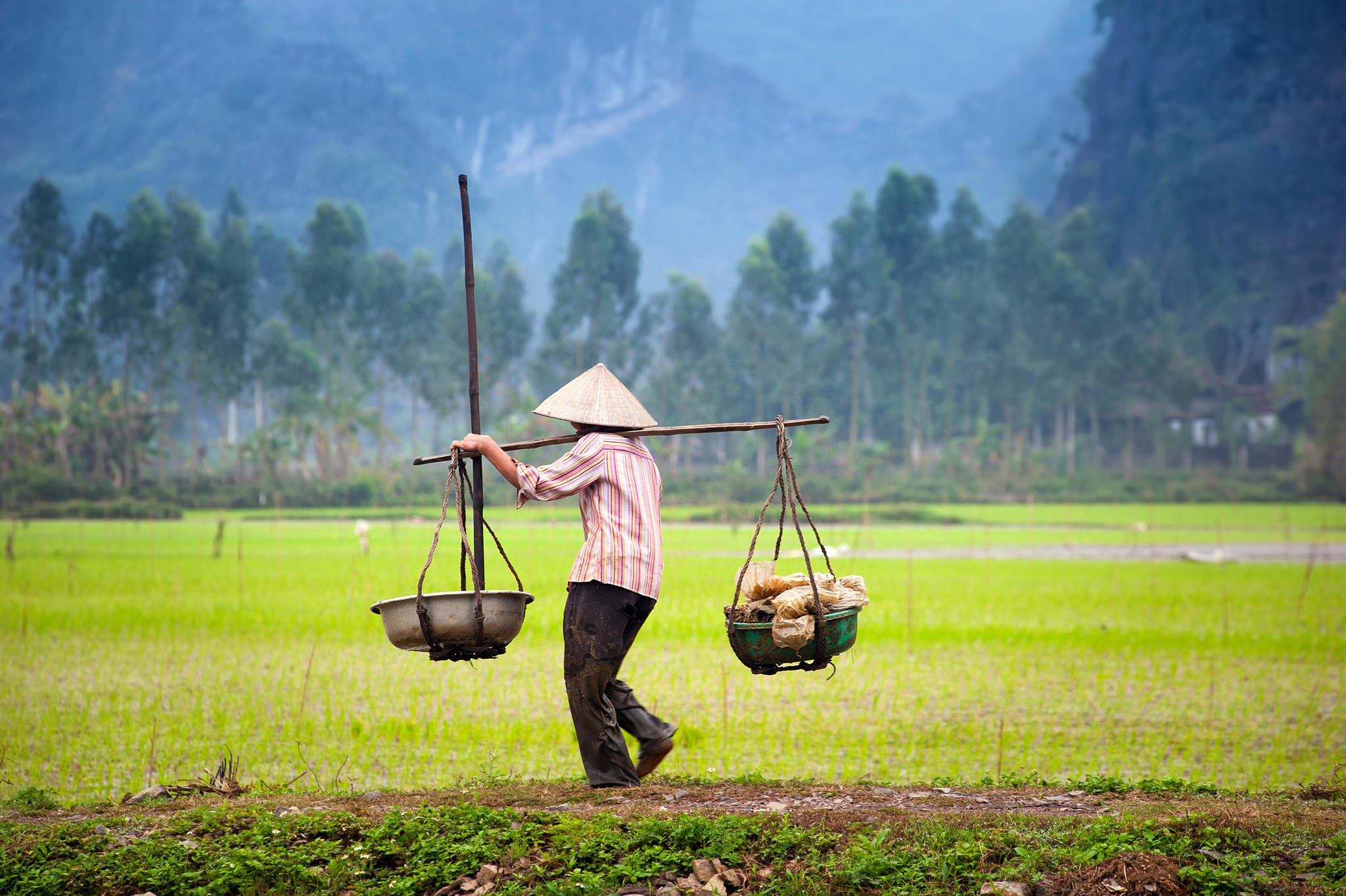 VN - Algemeen - Ninh Binh.jpg