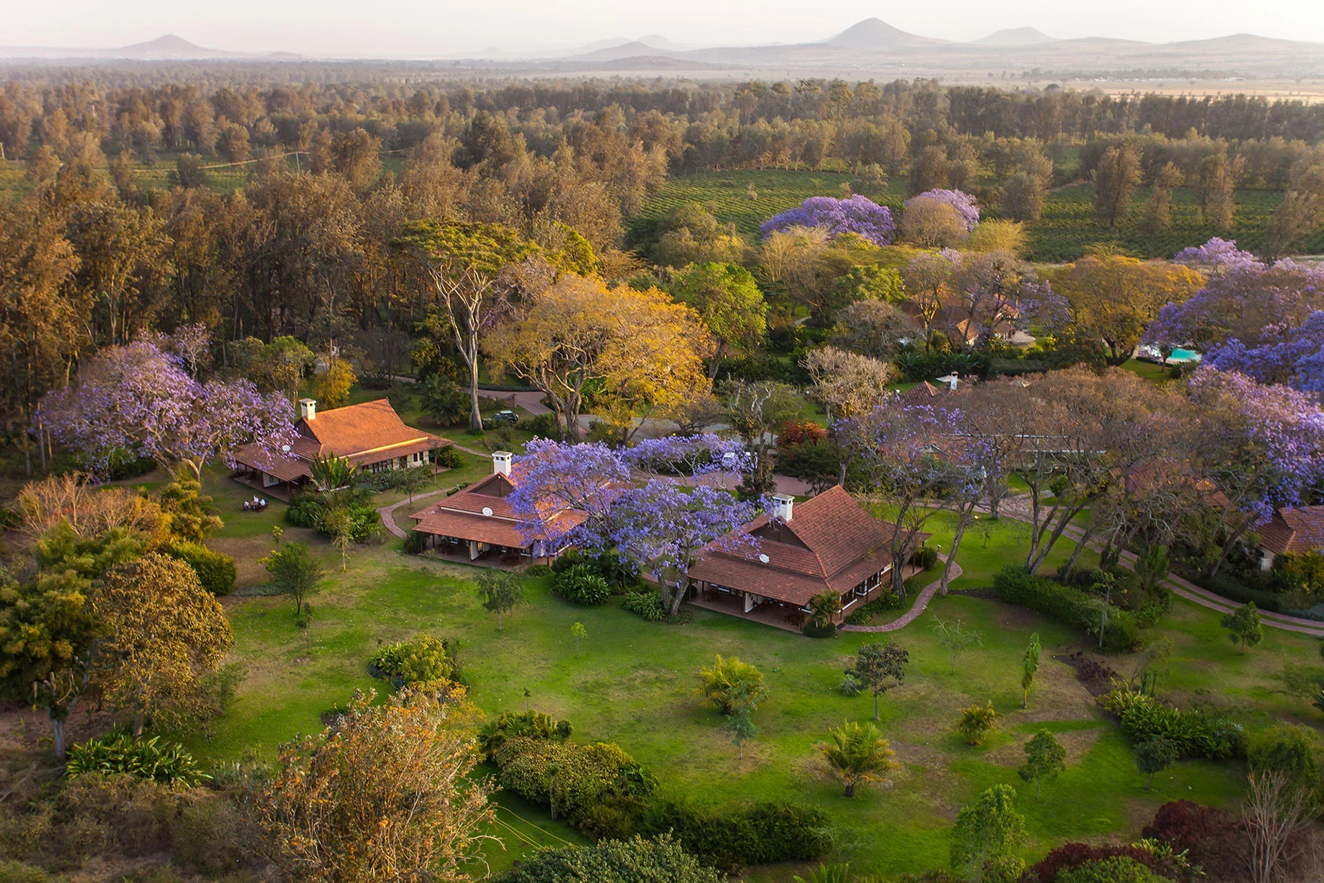 TZ-Legendary Lodge-aerial view - Copyright Classic Portfolio for images used without context.webp