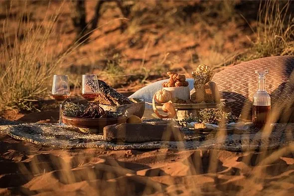 ZA-Tswalu_Kalahari-Picnic.webp