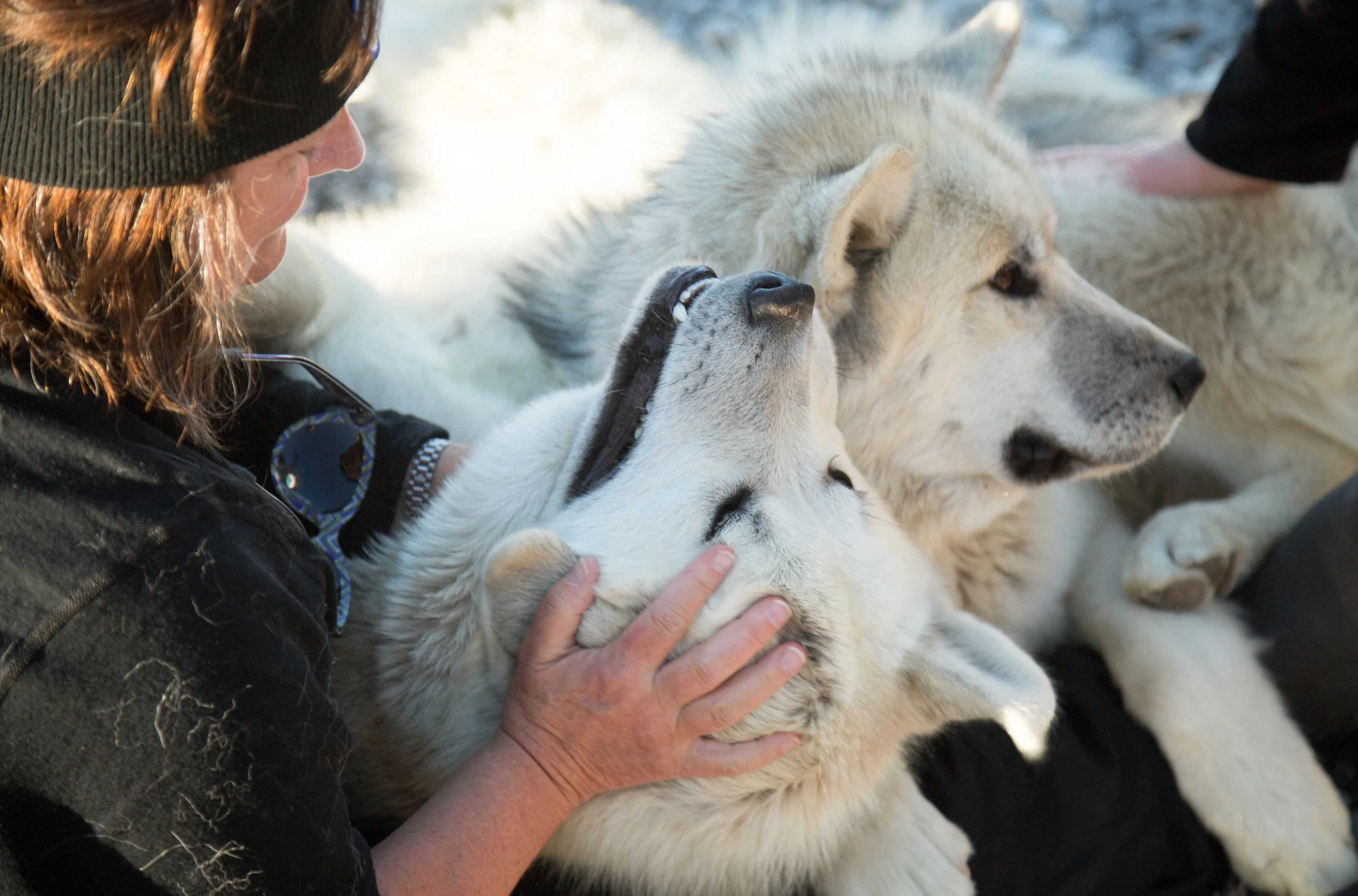 NO- Quark expeditions.eastgreenland_2016_ella_oe_acaciajohnson_1.webp