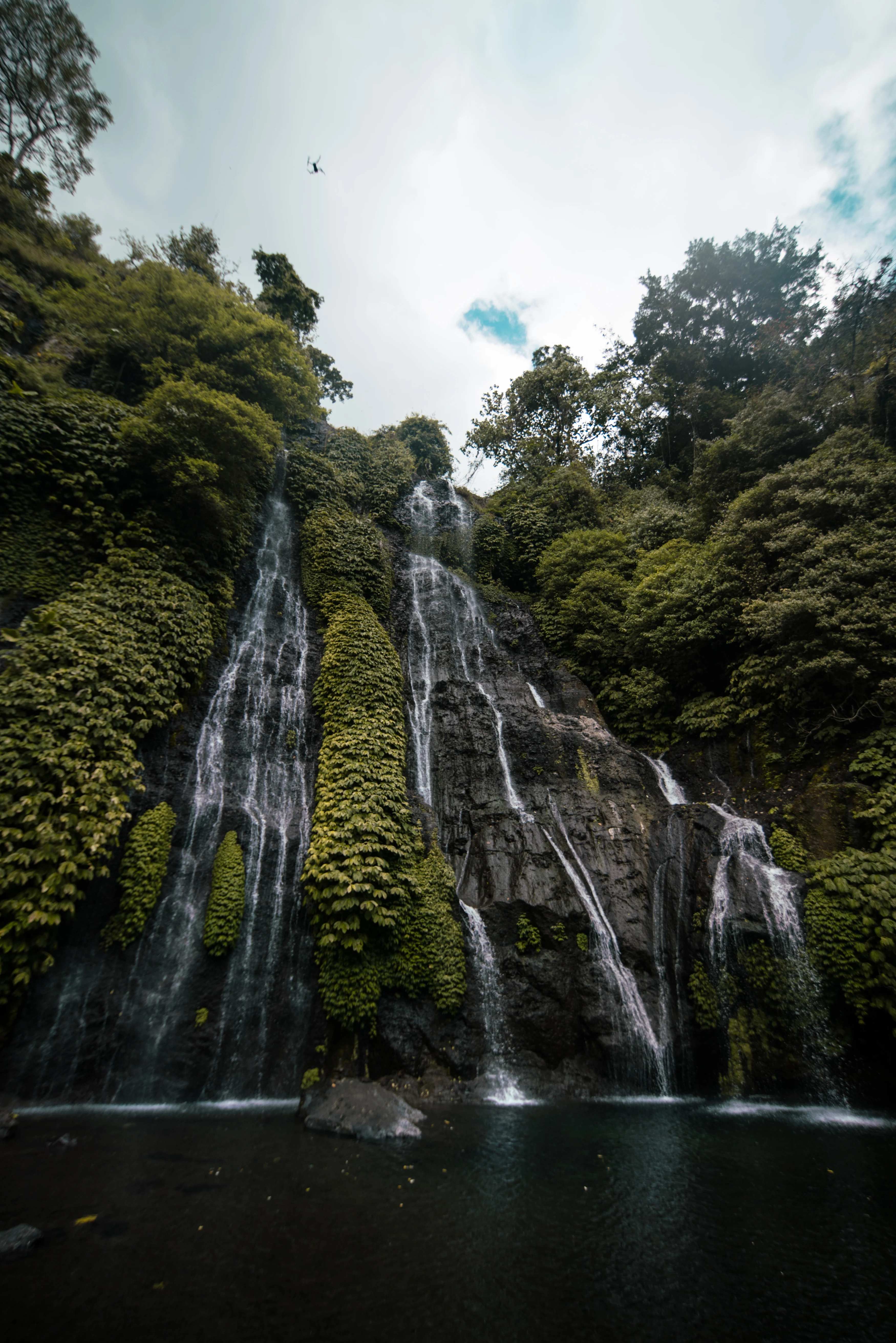 IN - Munduk Moding Plantation - Activities - Banyumala Waterfall (5).webp