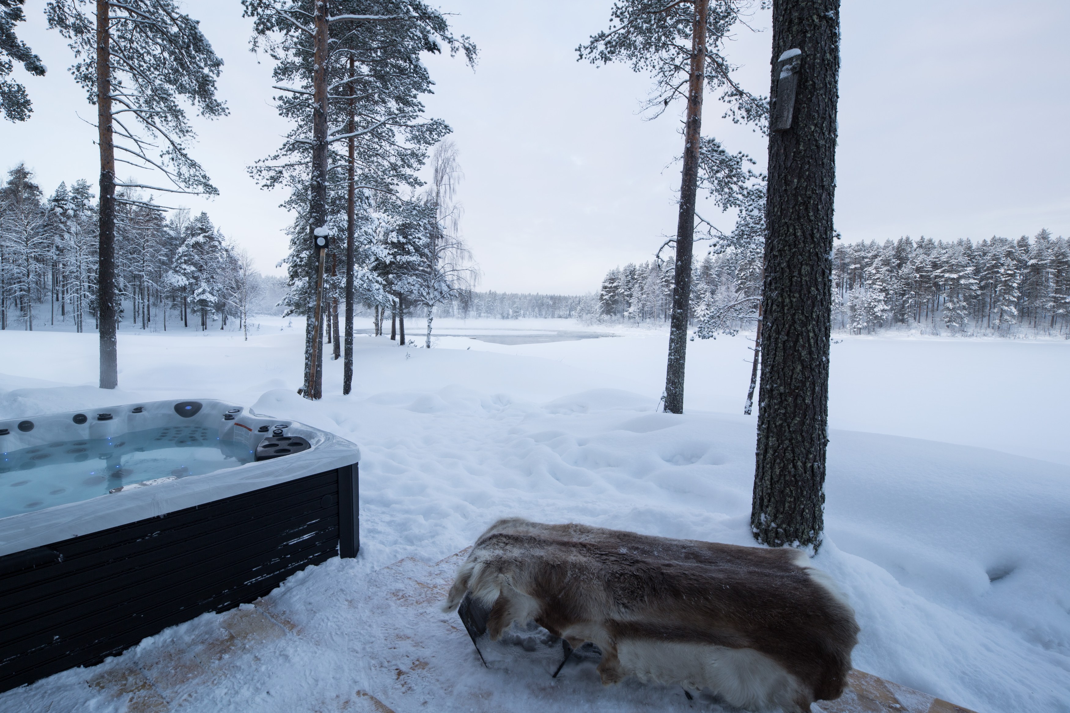 SE -Arctic Retreat- Jacuzzi.jpg