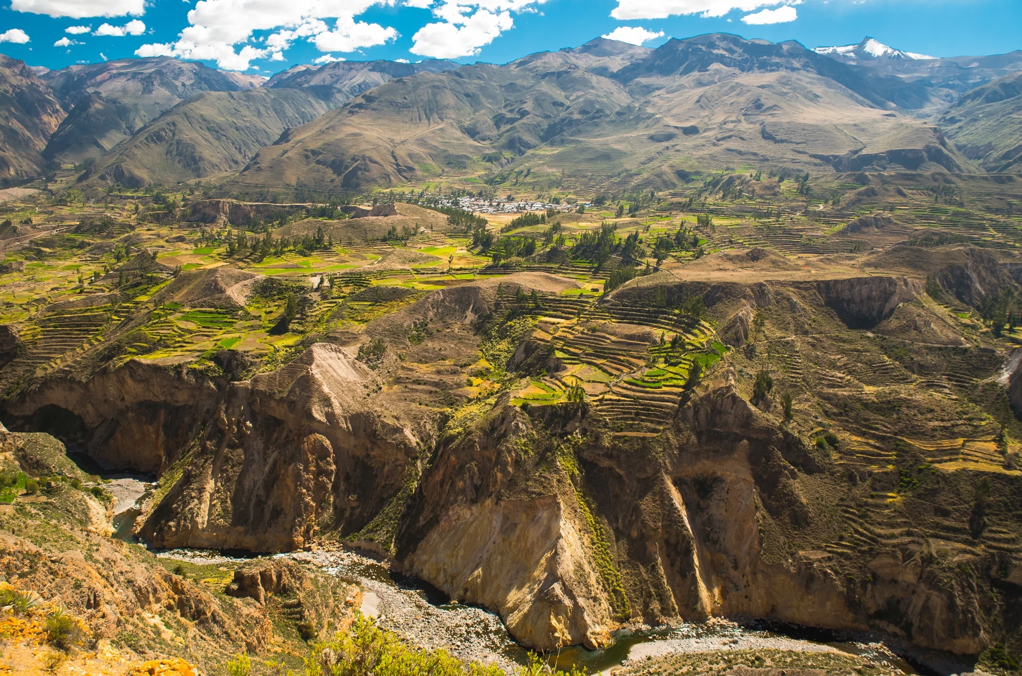 PE - Algemeen - Colca Canyon (1).webp
