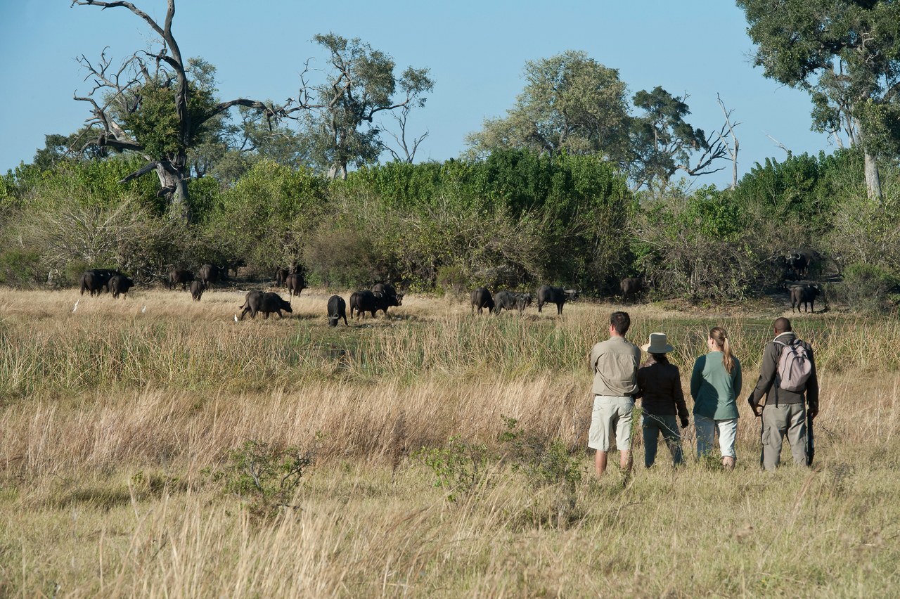 BW-Duma Tau-walking safari.jpg