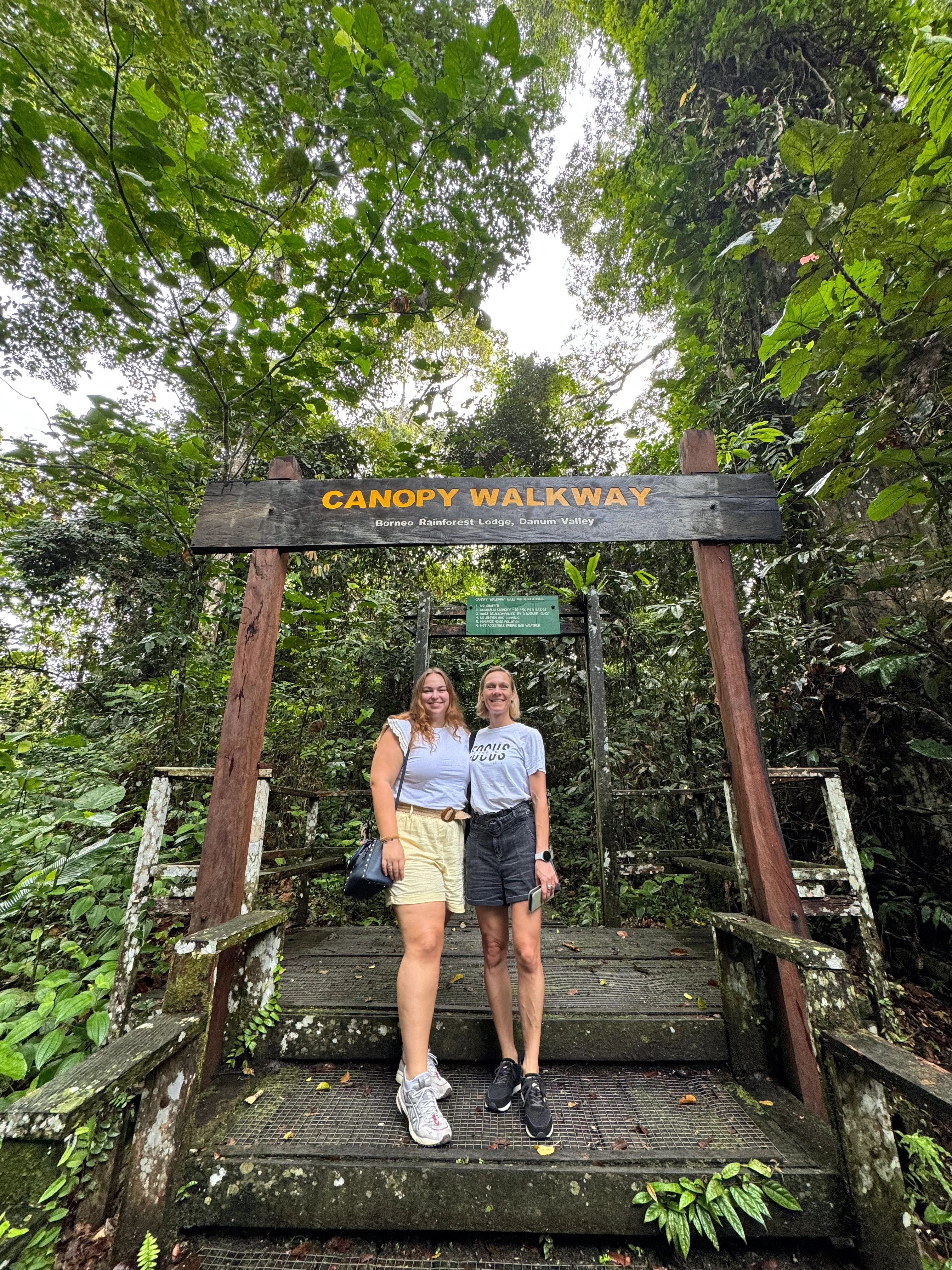 MY-studeireis irish en marjelein Canopy walkway.webp