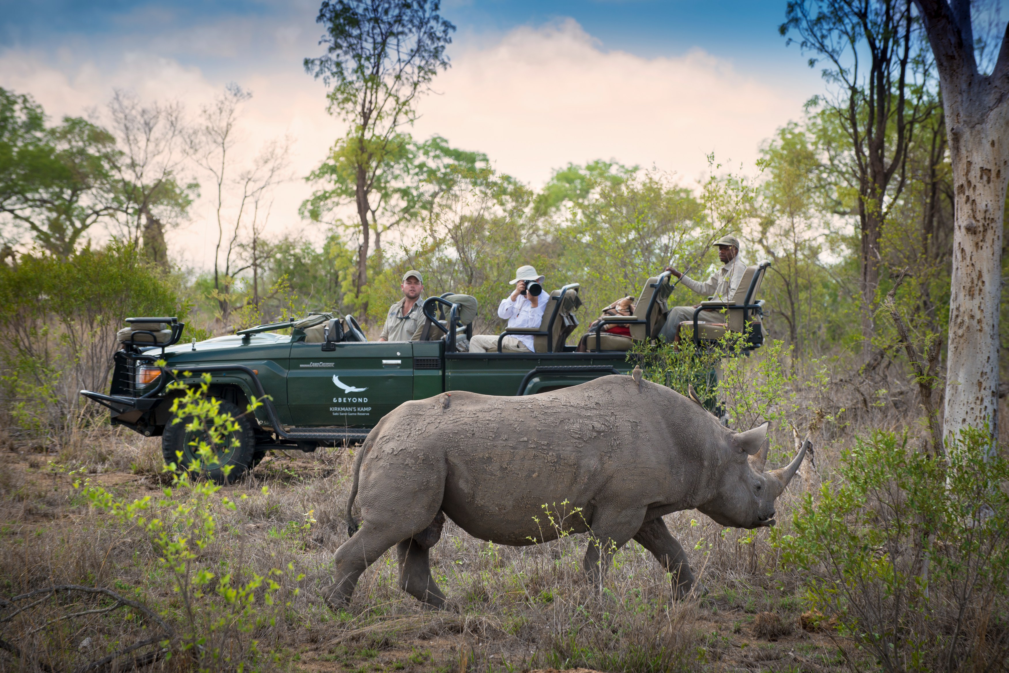 ZA-Tengile River Lodge-Black-rhino-at-andBeyond-Tengile-River-Lodge.jpg
