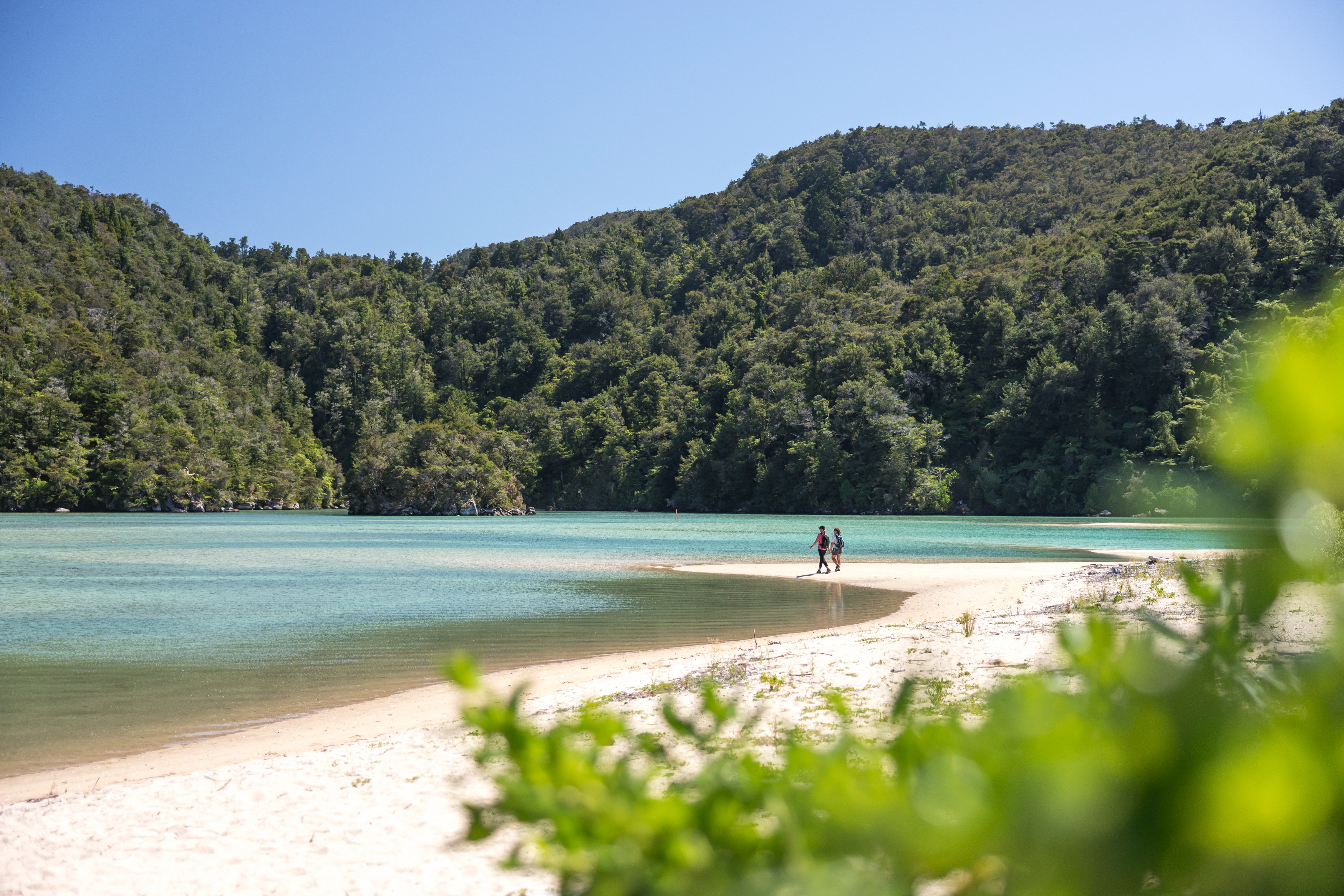 NZ - Abel Tasman NP - beach walk.jpg