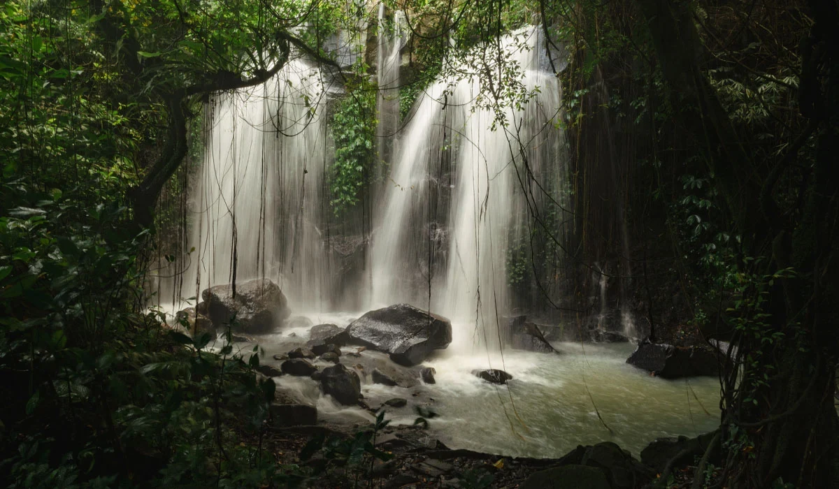 ID-Journey of Arcadia-Soori Bali.webp