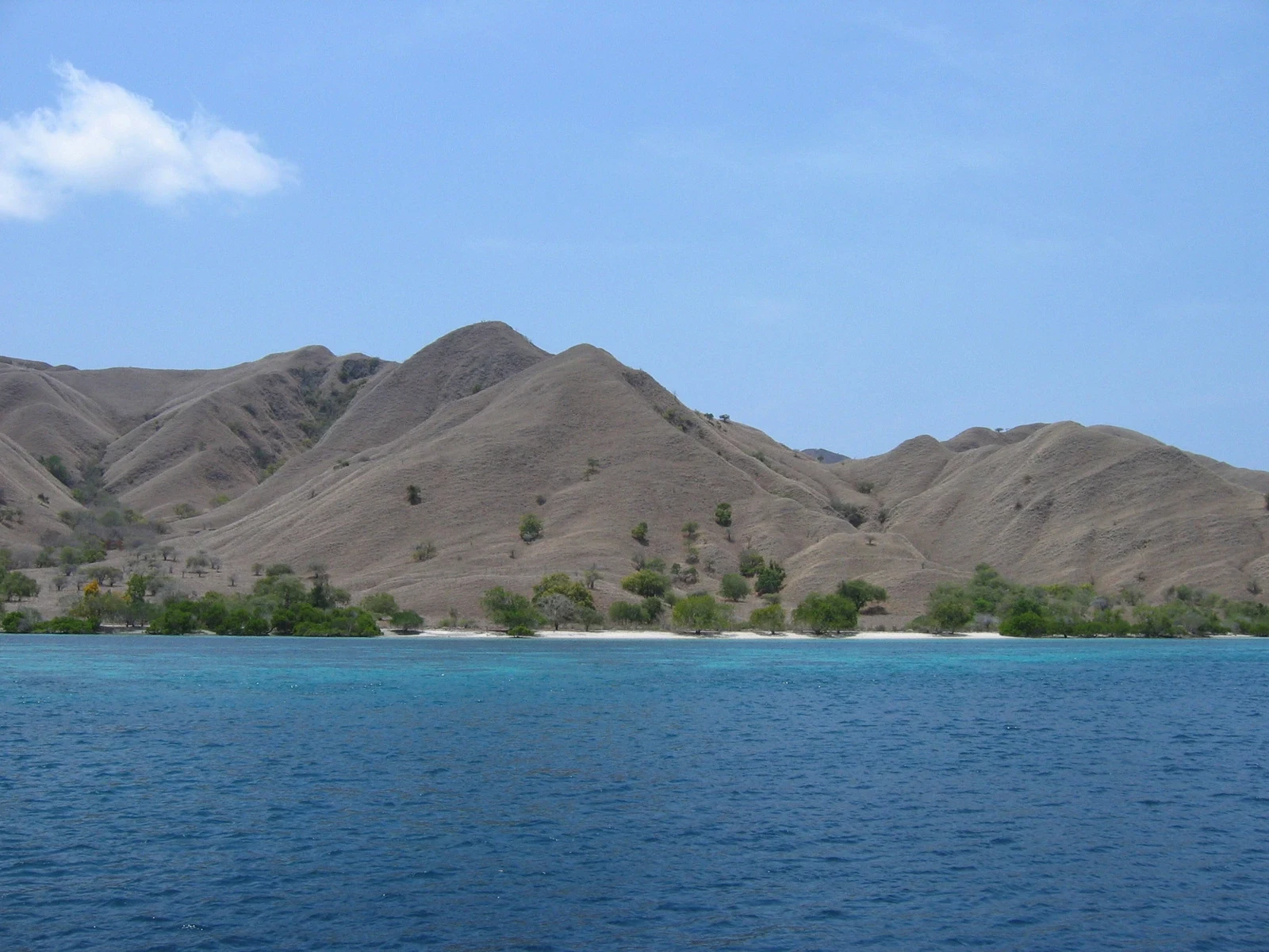 ID - Komodo - Mountains and sea.webp