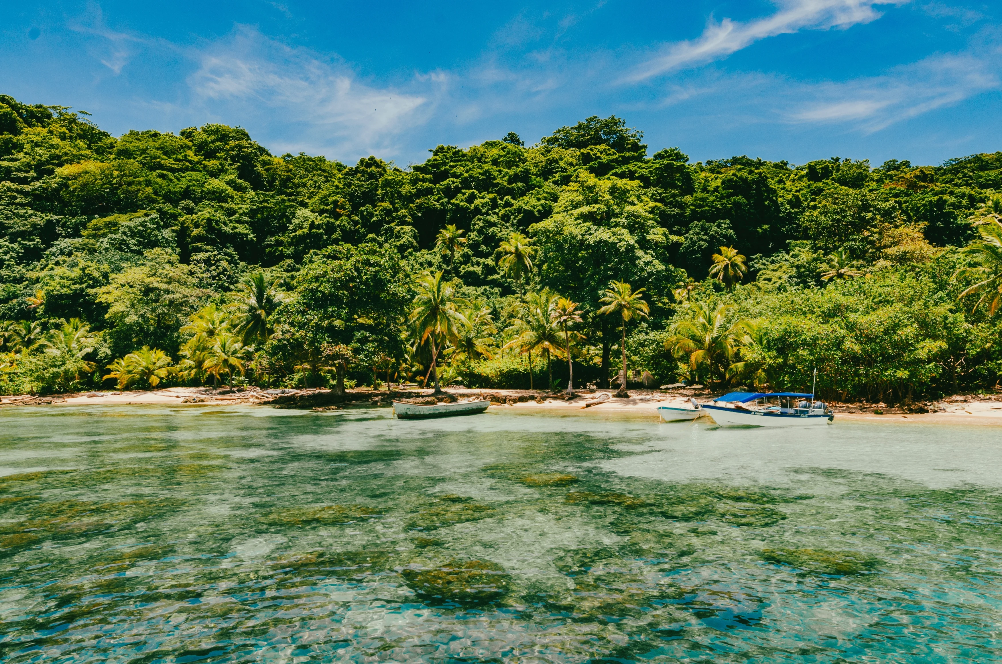 PA-Panama-Shutterstock (2).webp
