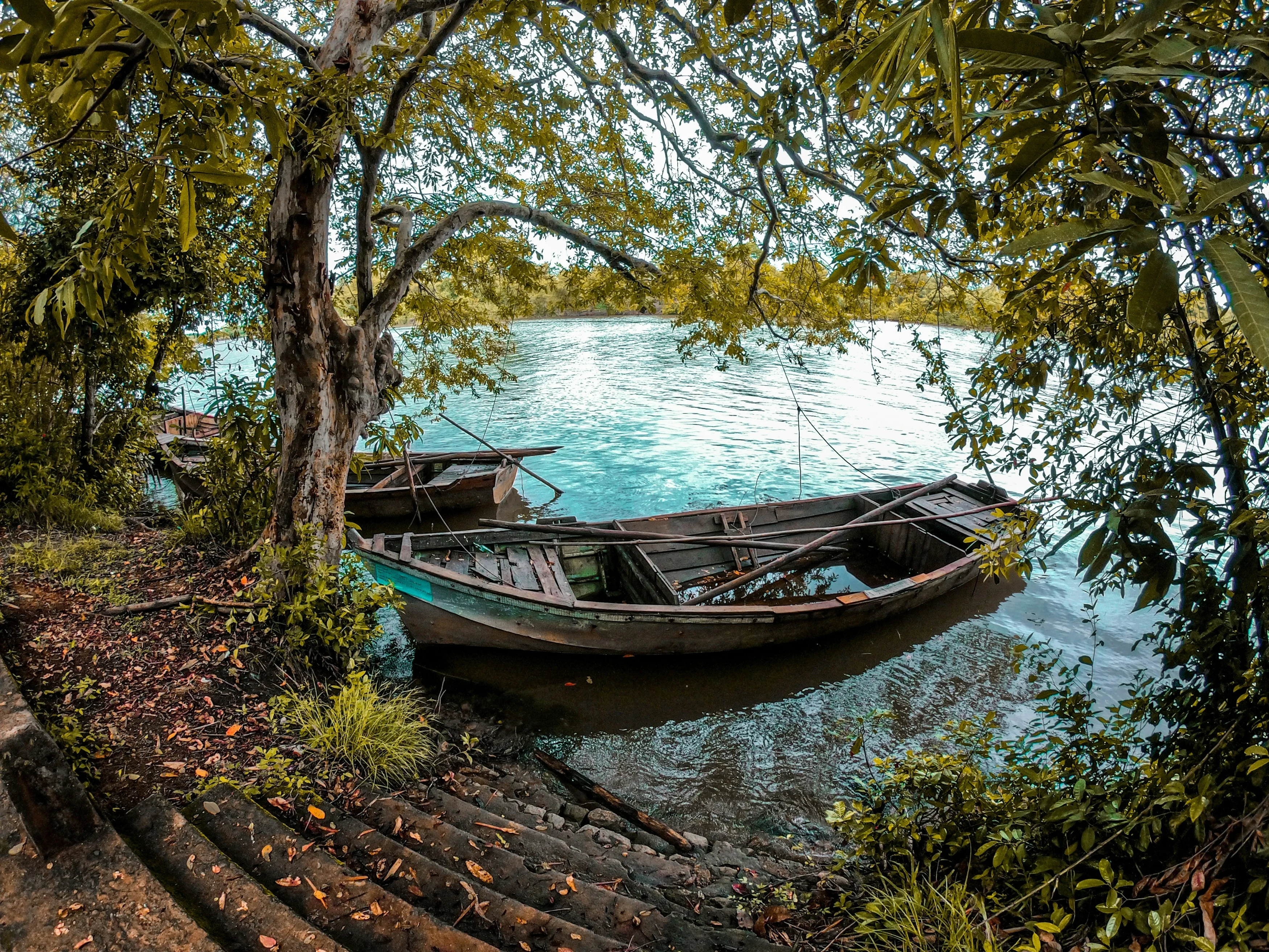 LK - Algemeen - Kayak.webp
