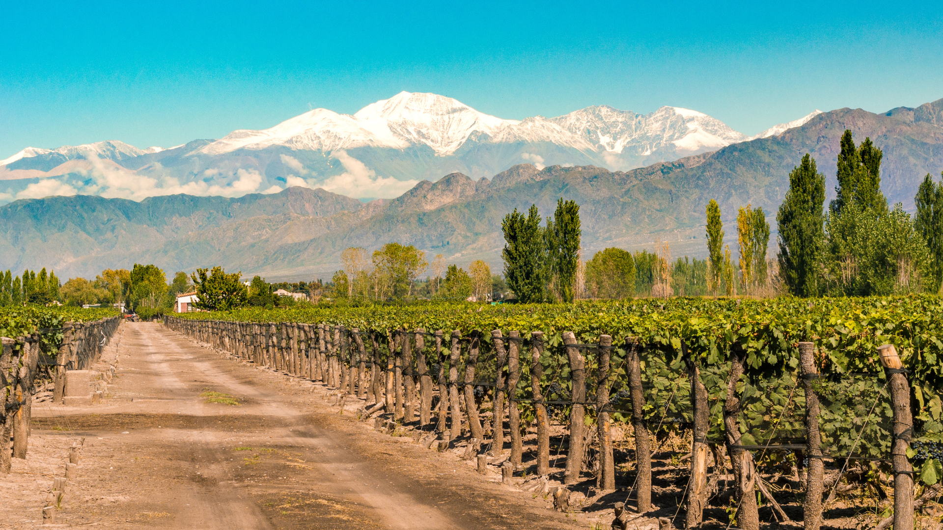 AR-Mendoza-winery (1).png